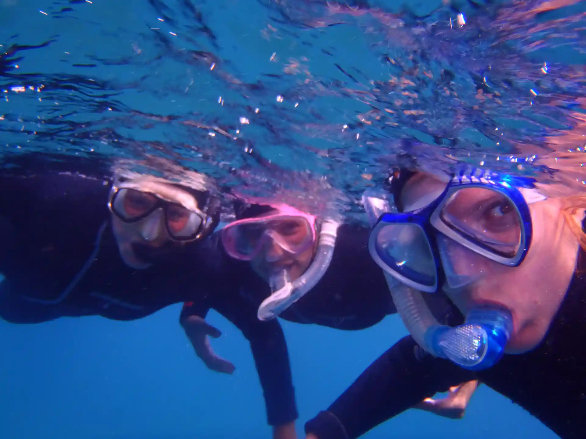 Photo de l'activité