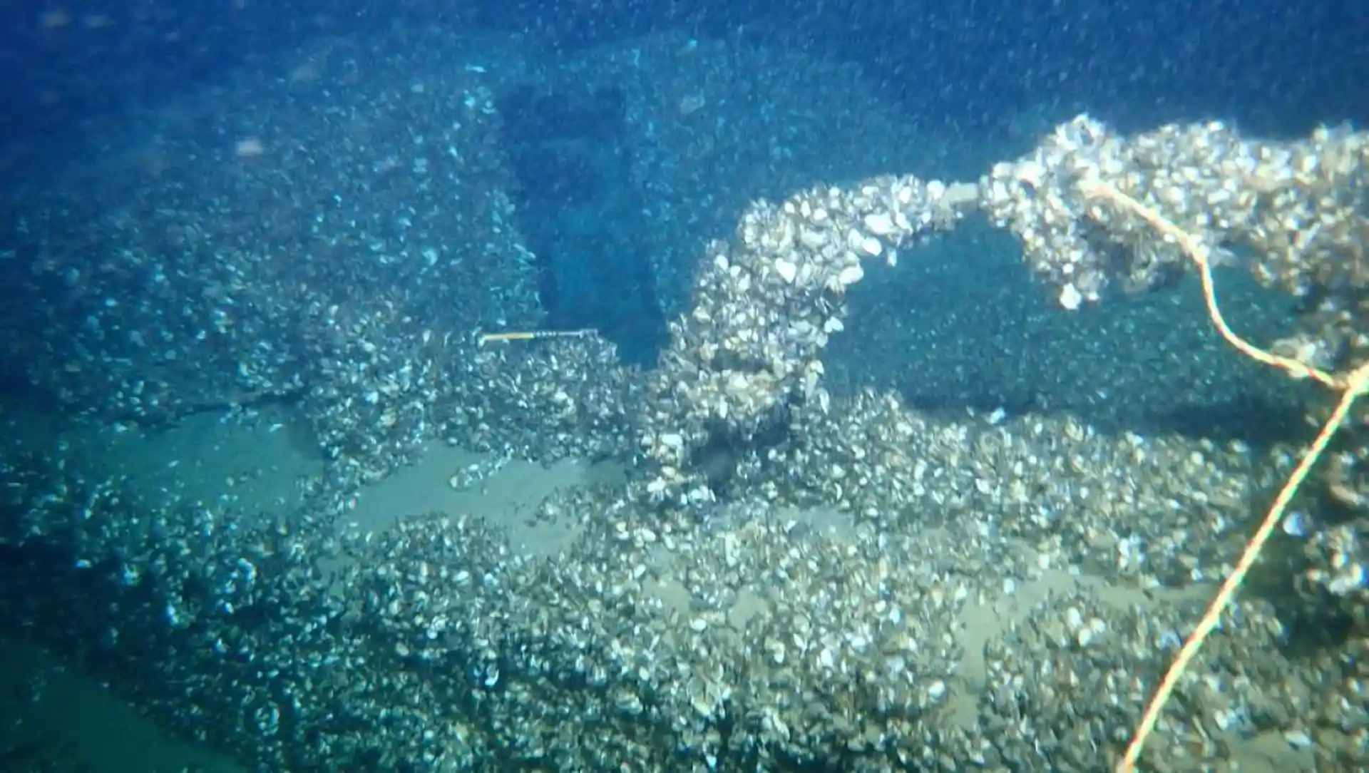 다이빙 포인트 사진