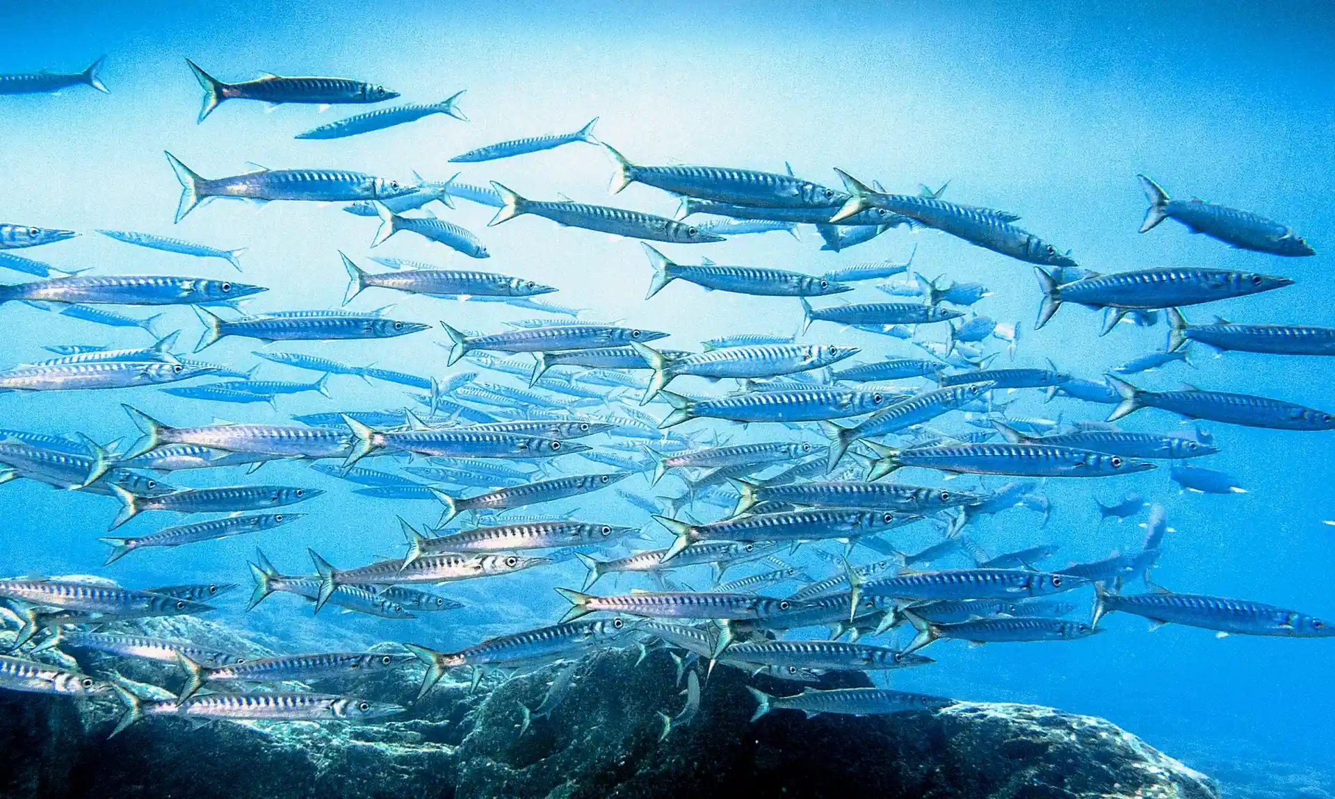 Dive site photo