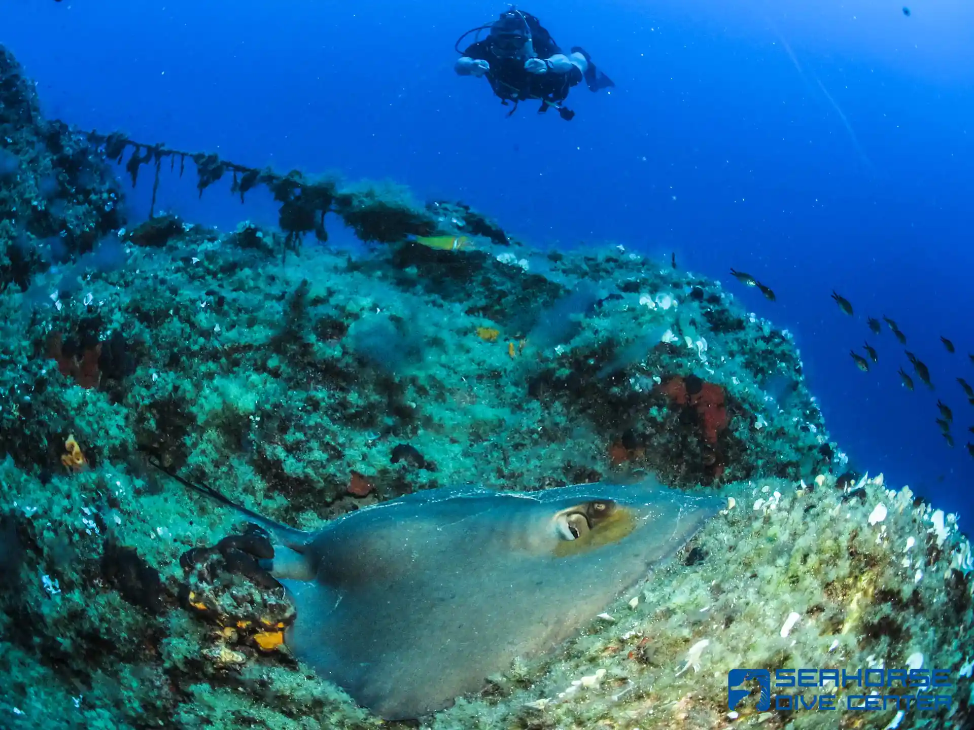 Foto de la actividad