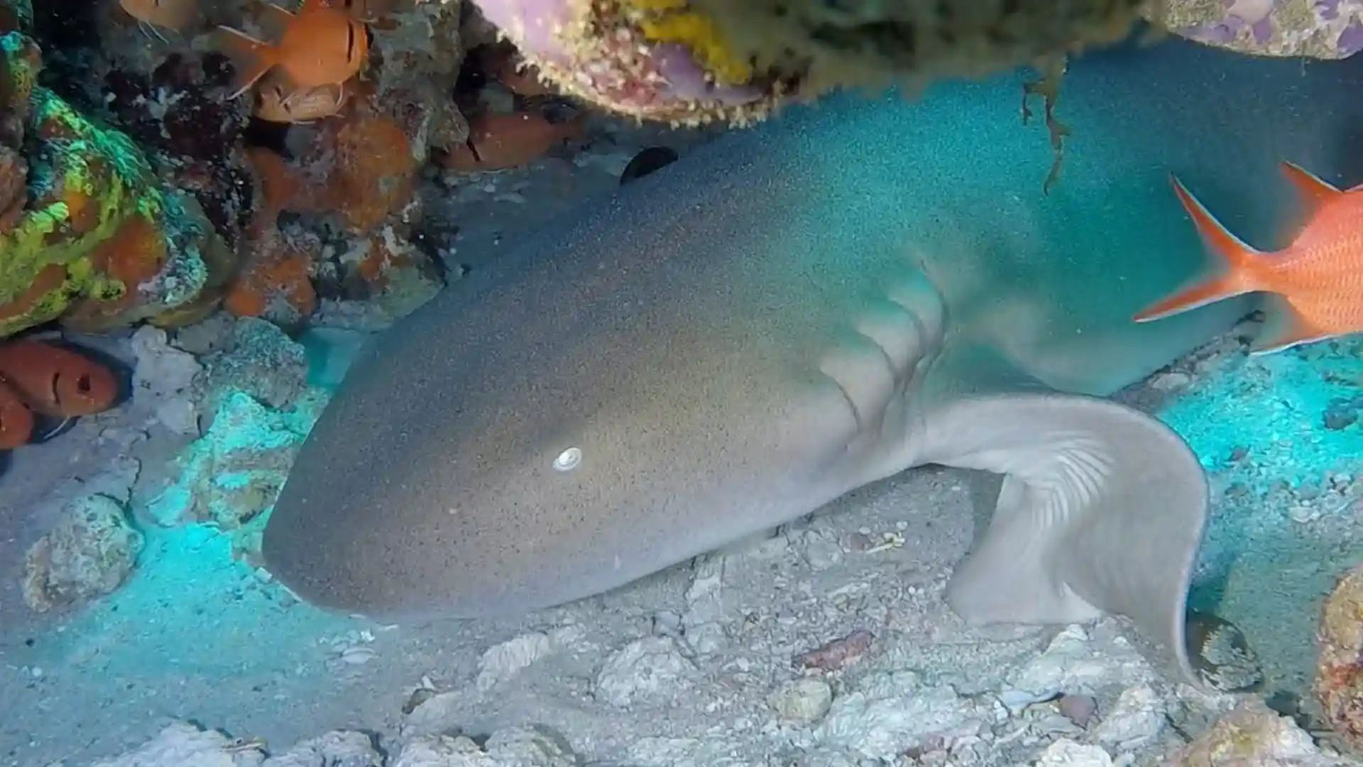 Dive site photo
