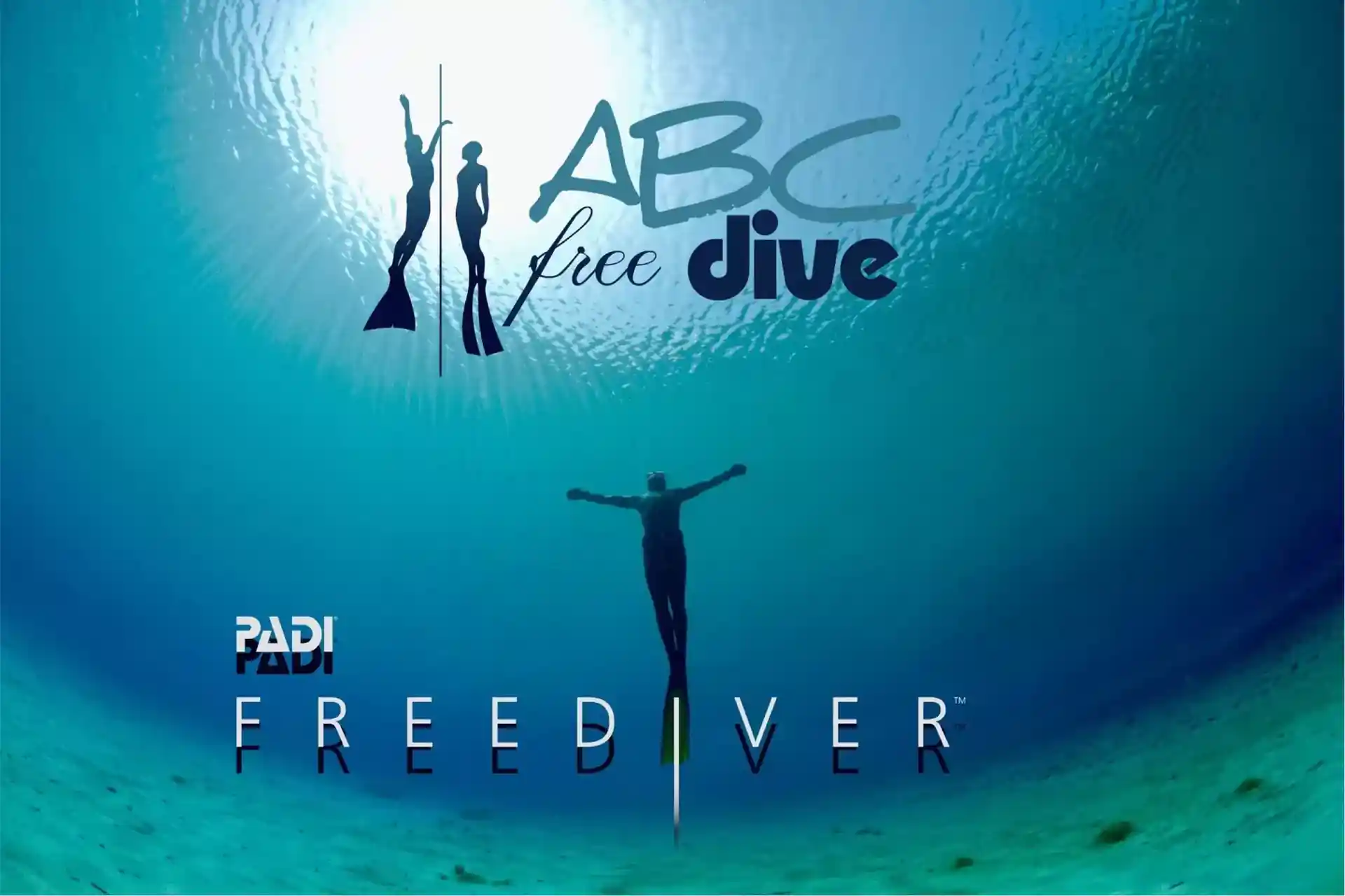 Dive shop photo