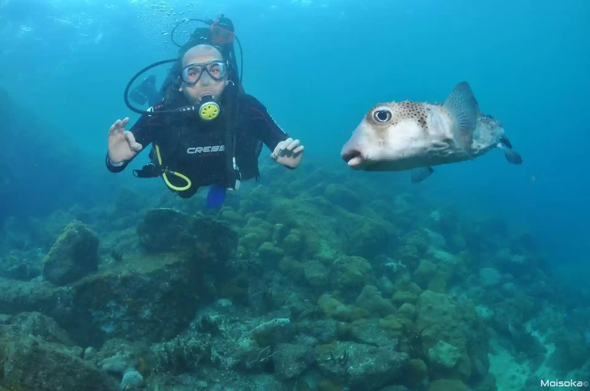 Dive shop photo