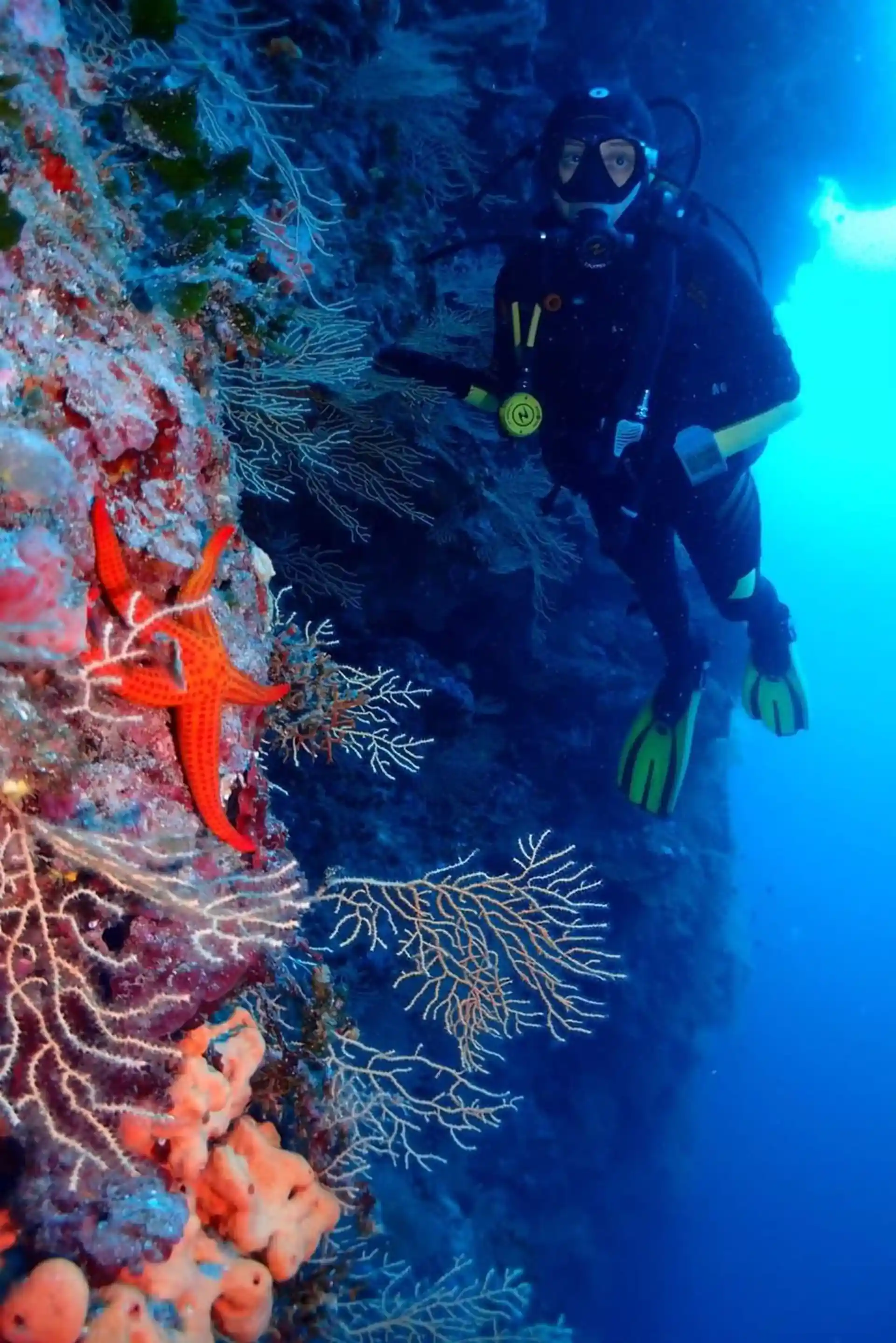 Dive site photo