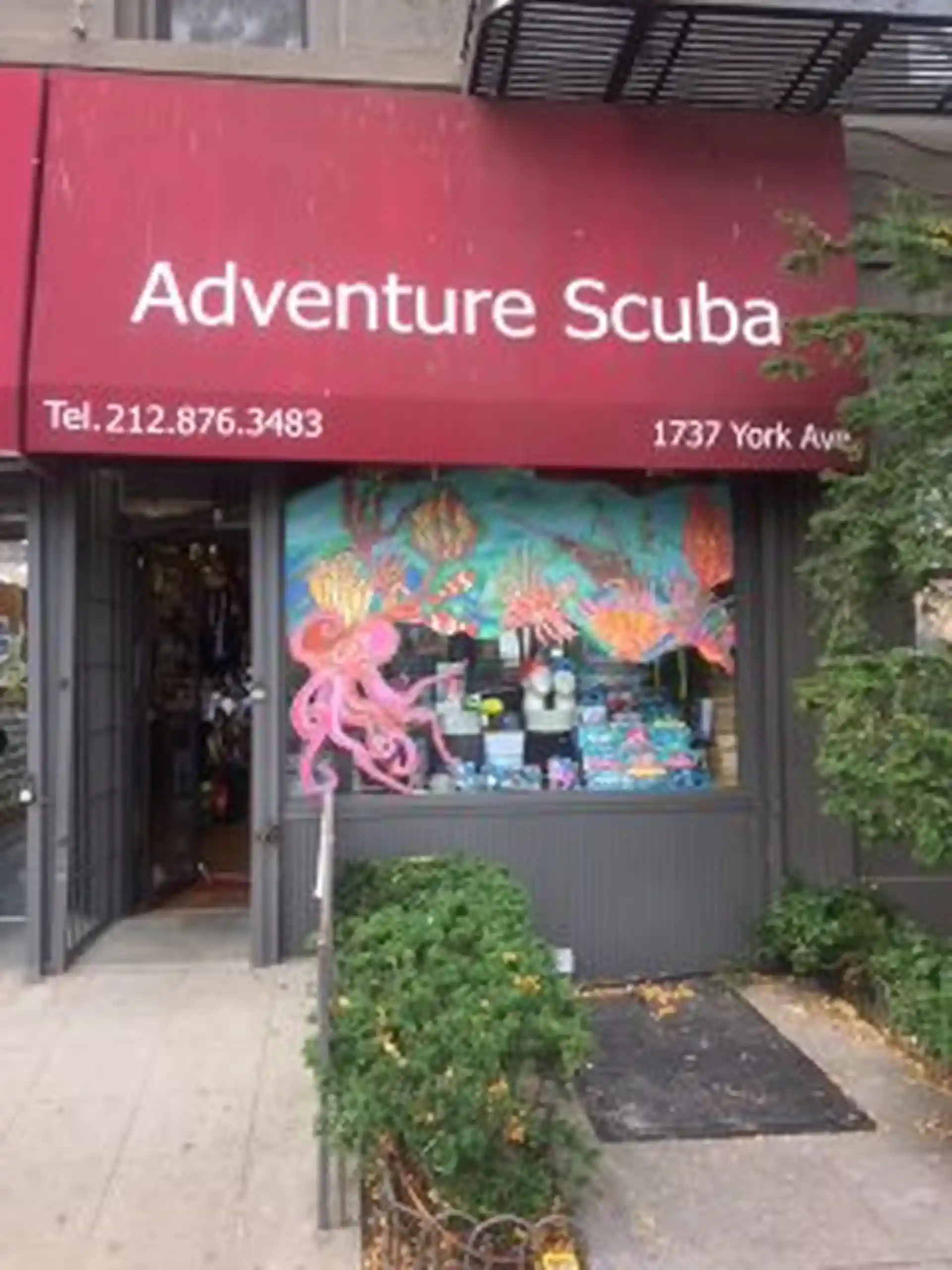 We are located on York Avenue between 90th and 91st Streets