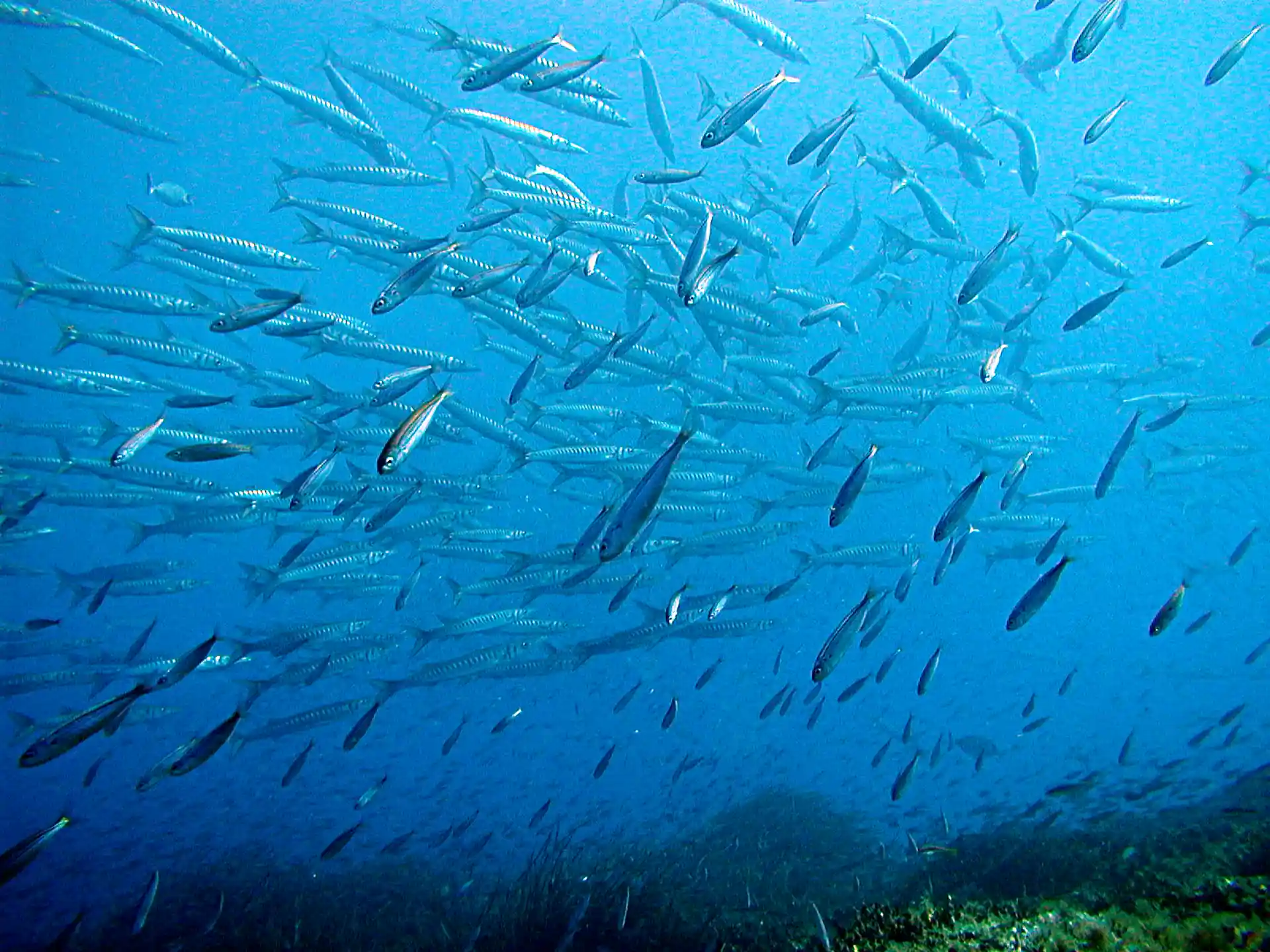 Foto des Tauchplatzes