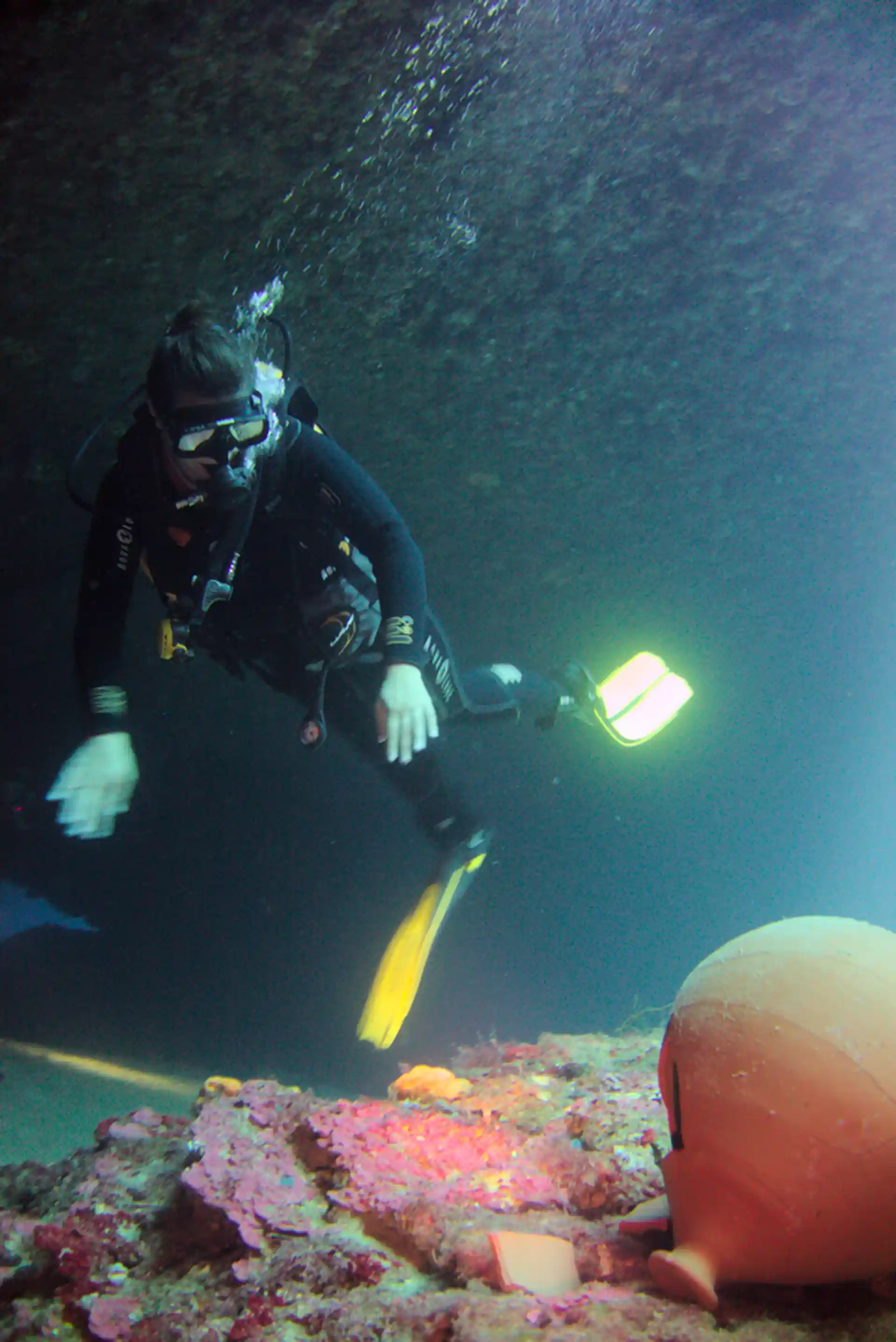 Photo de l'activité