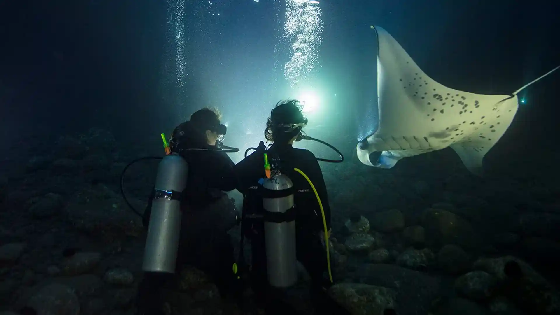 Discover how to plan and conduct safe night dives.