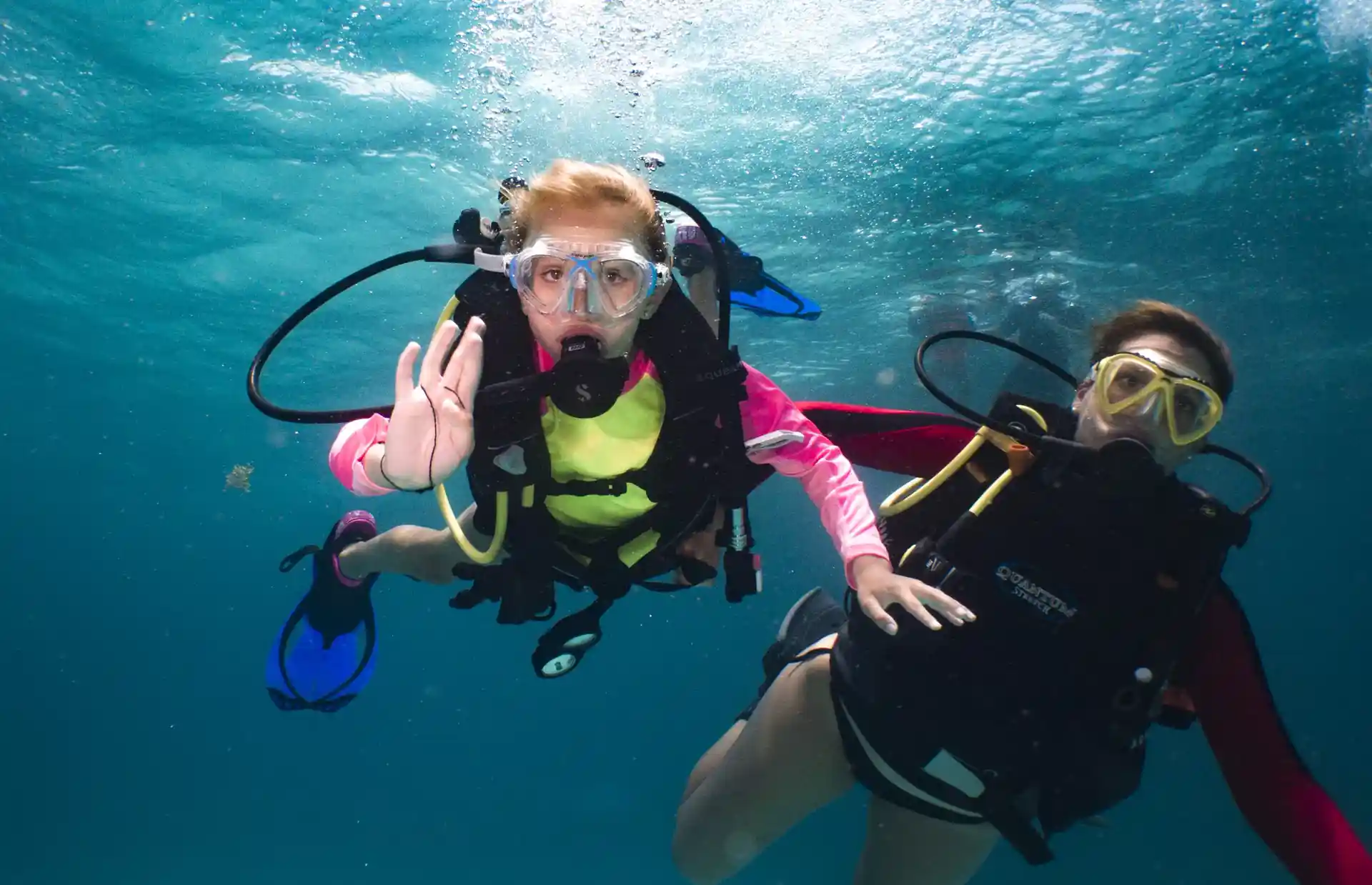 ダイビングサイトの写真