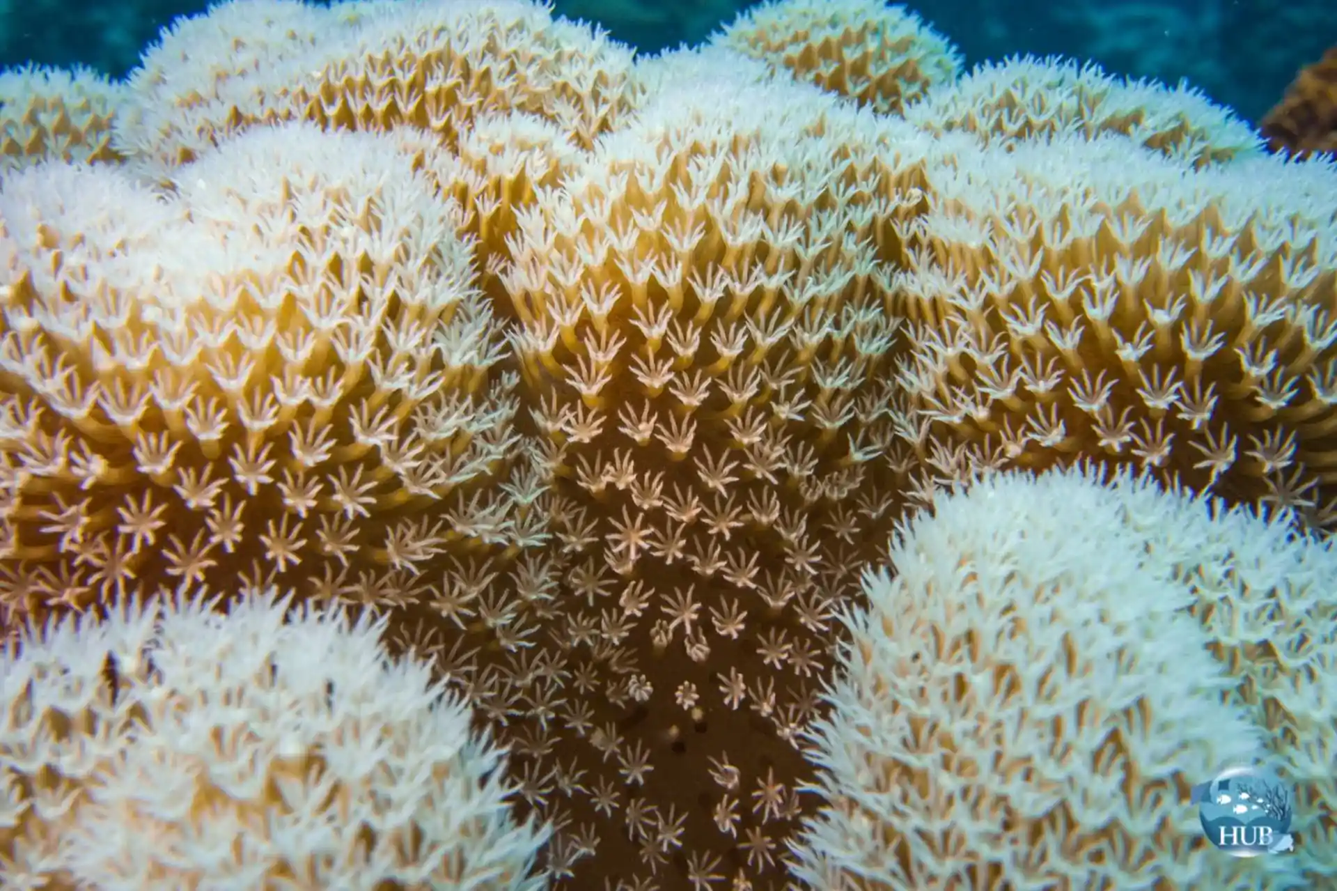 Dive shop photo
