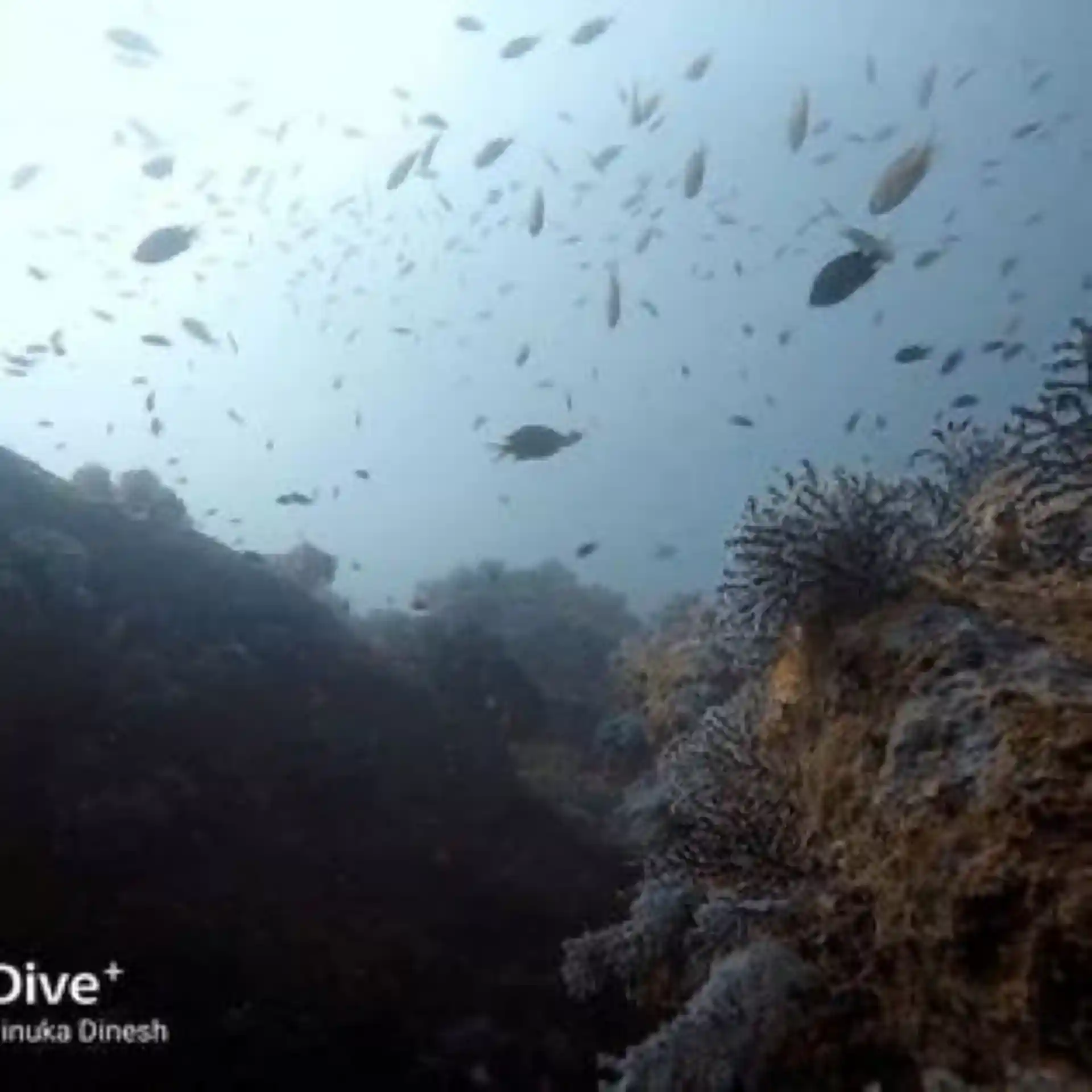 Foto des Tauchplatzes