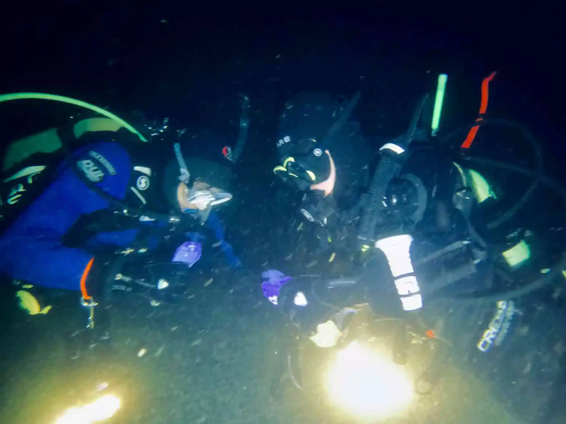 Wie wäre es mit Nachttauchen? Erlebe neue Lebensarten unter Wasser, das Mystische bei Nacht.