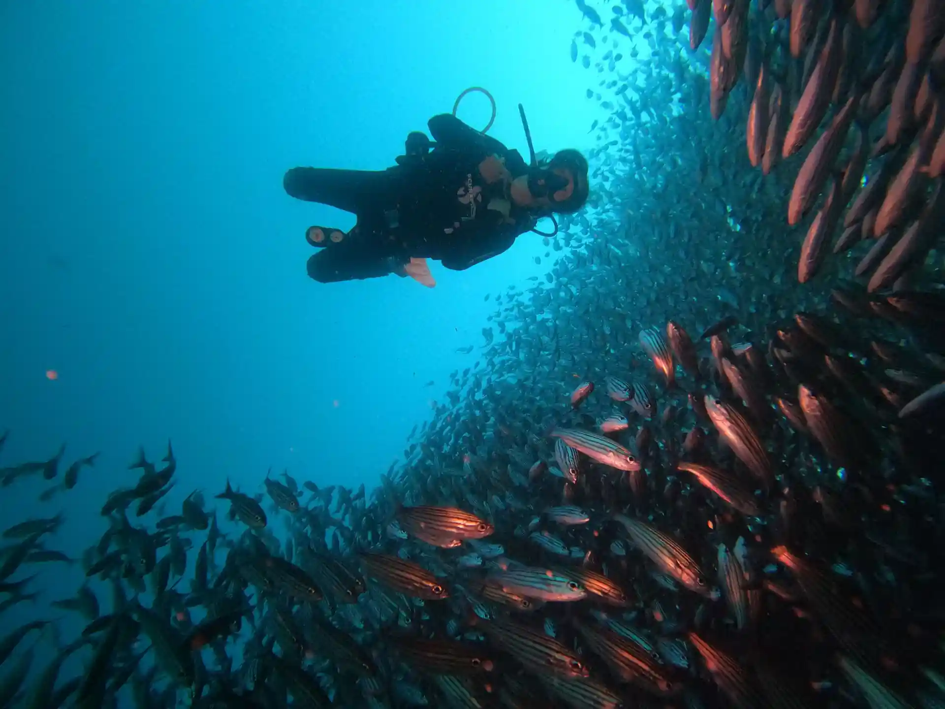 Foto del sitio de buceo