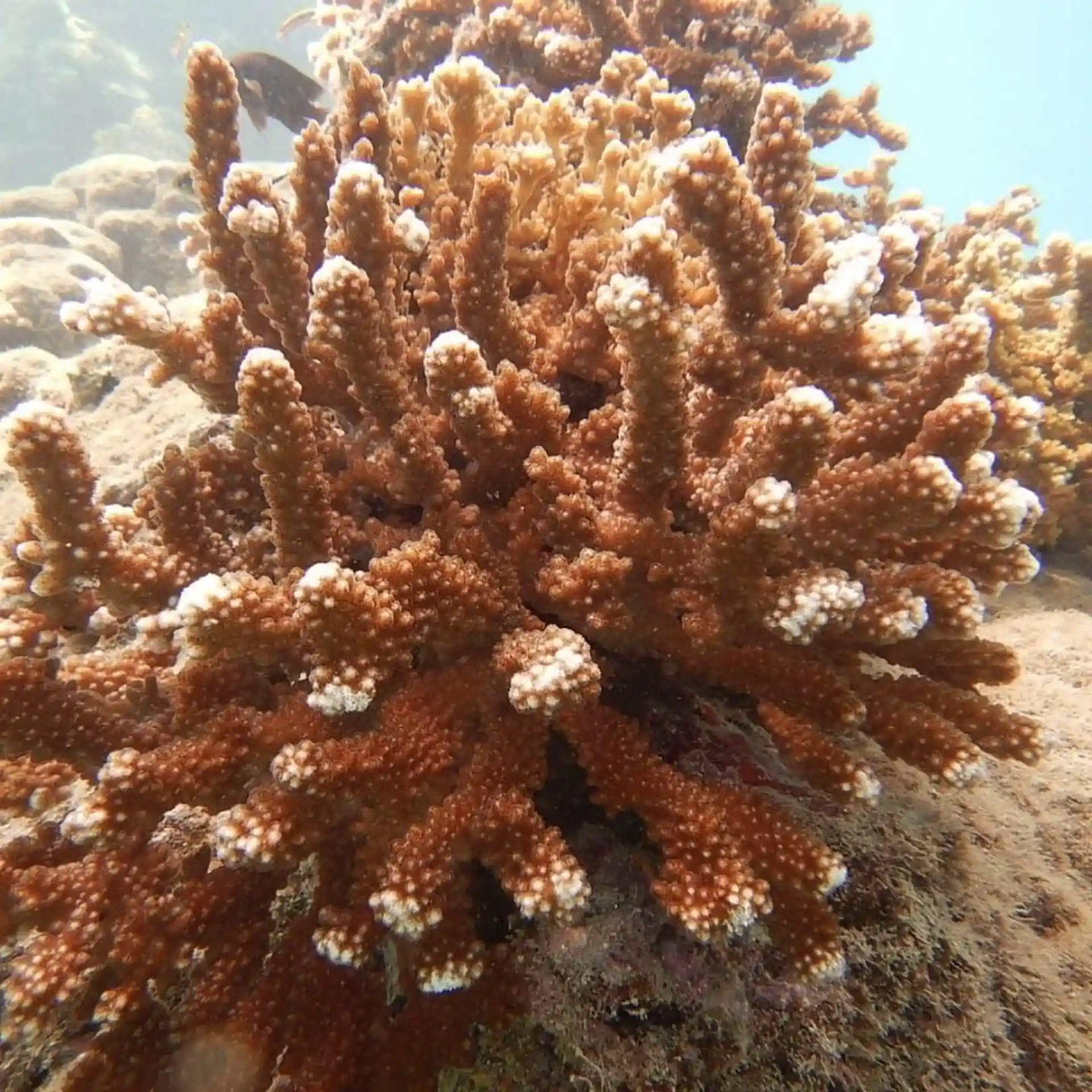 다이빙 포인트 사진