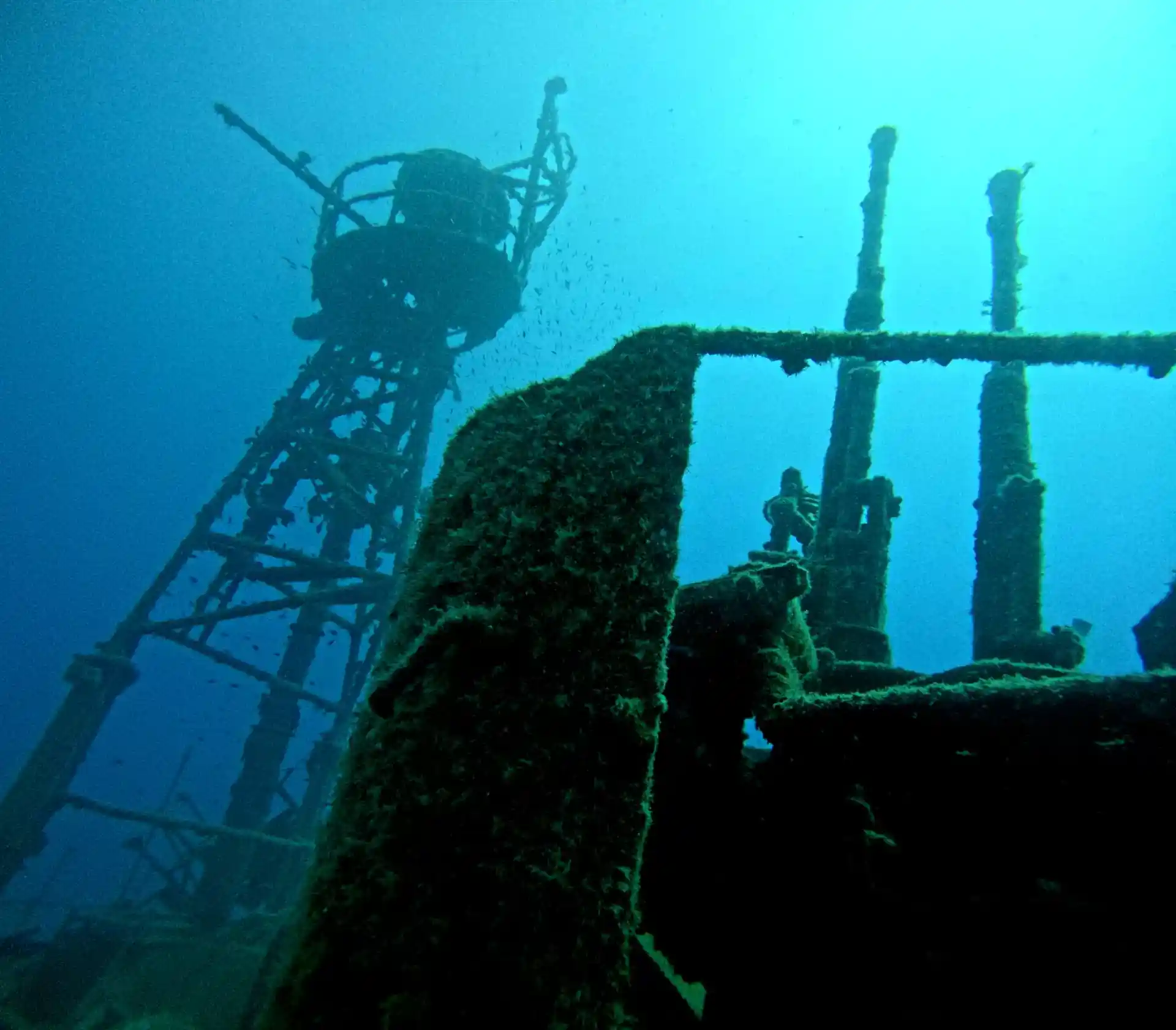 Dive shop photo
