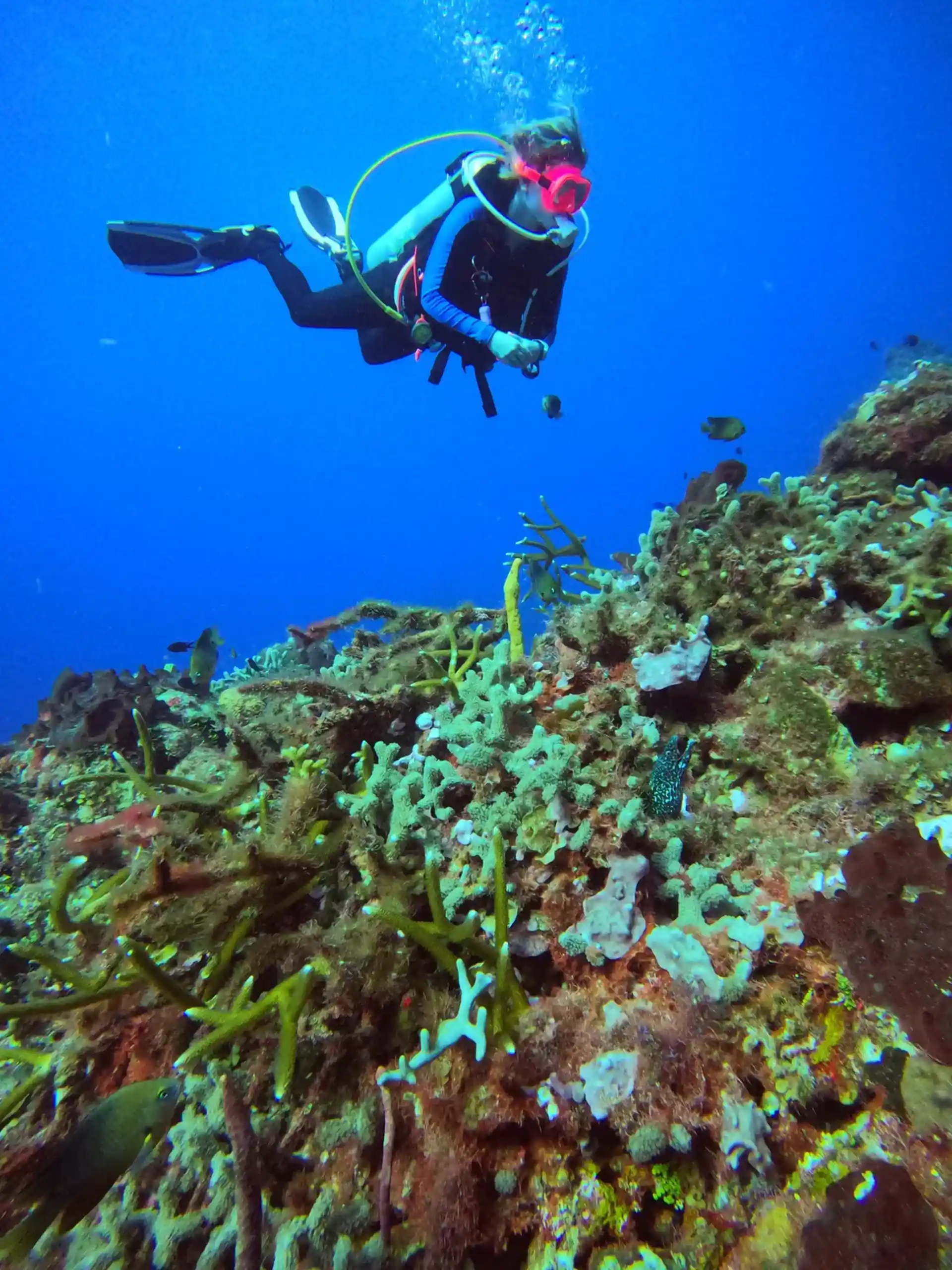 Dive shop photo