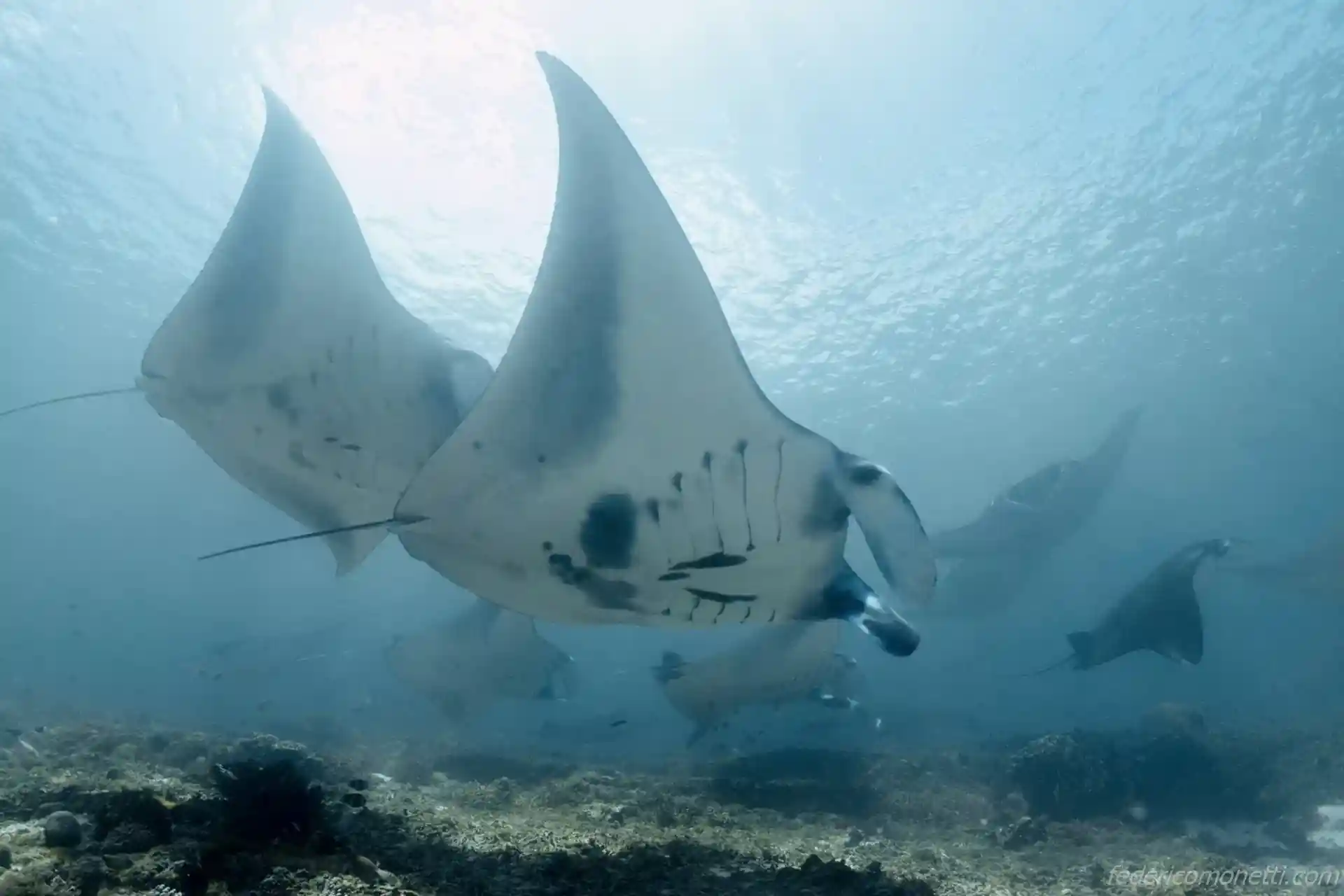 Foto de la tienda de buceo