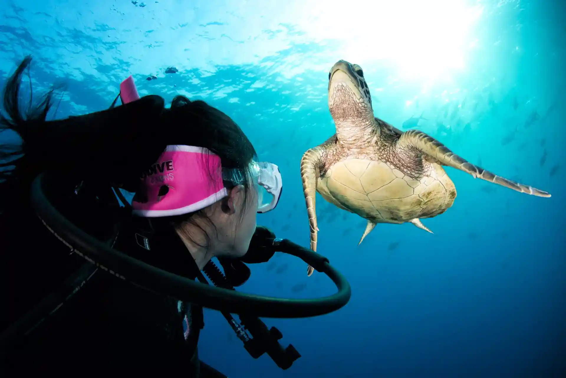 Dive site photo