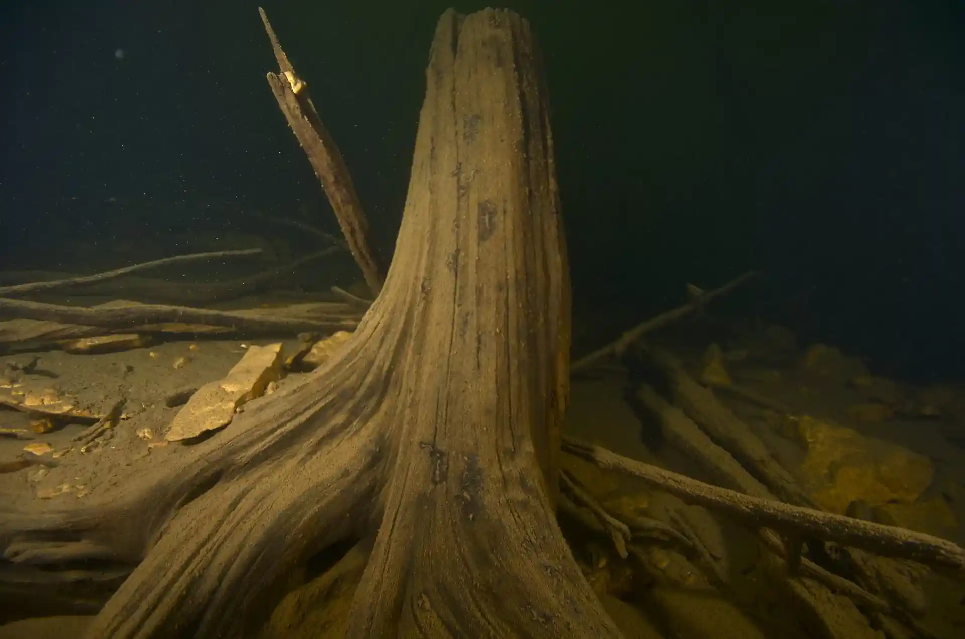 Dive site photo