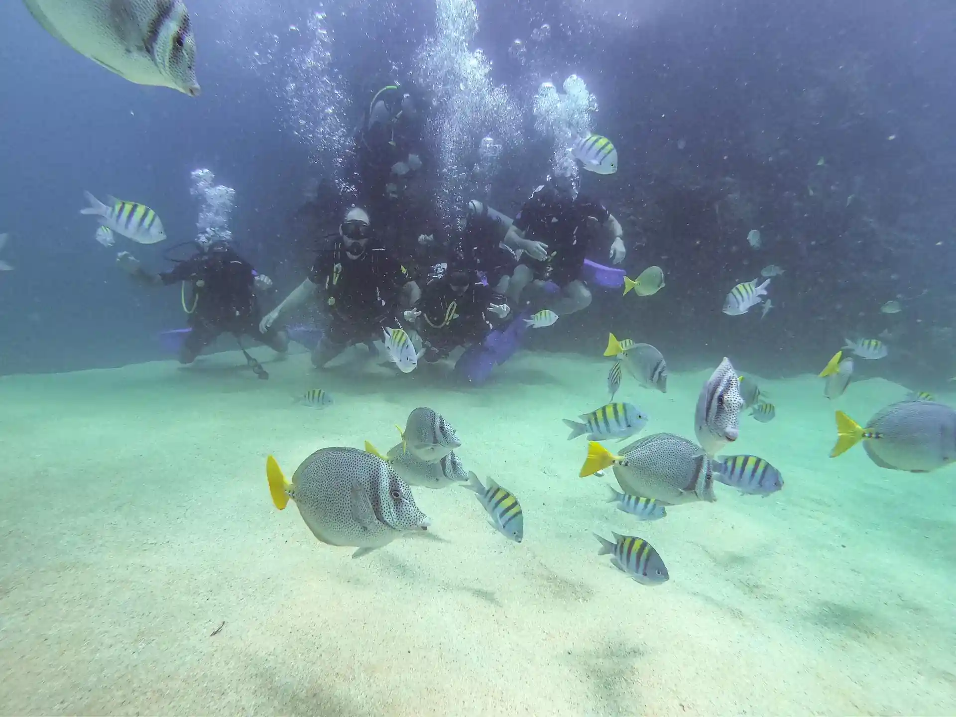 다이빙 포인트 사진