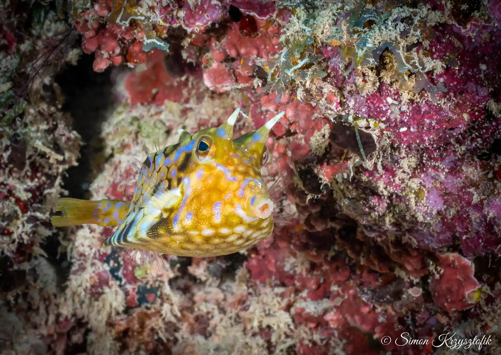 Dive site photo