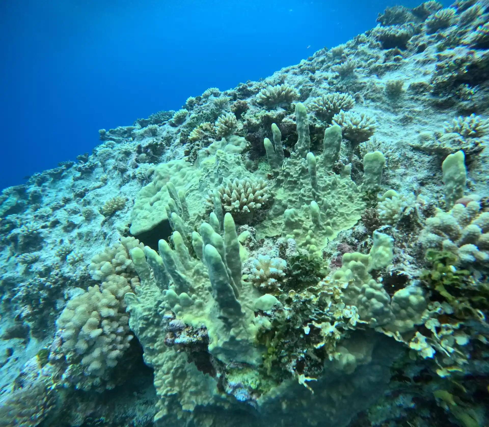 Dive site photo
