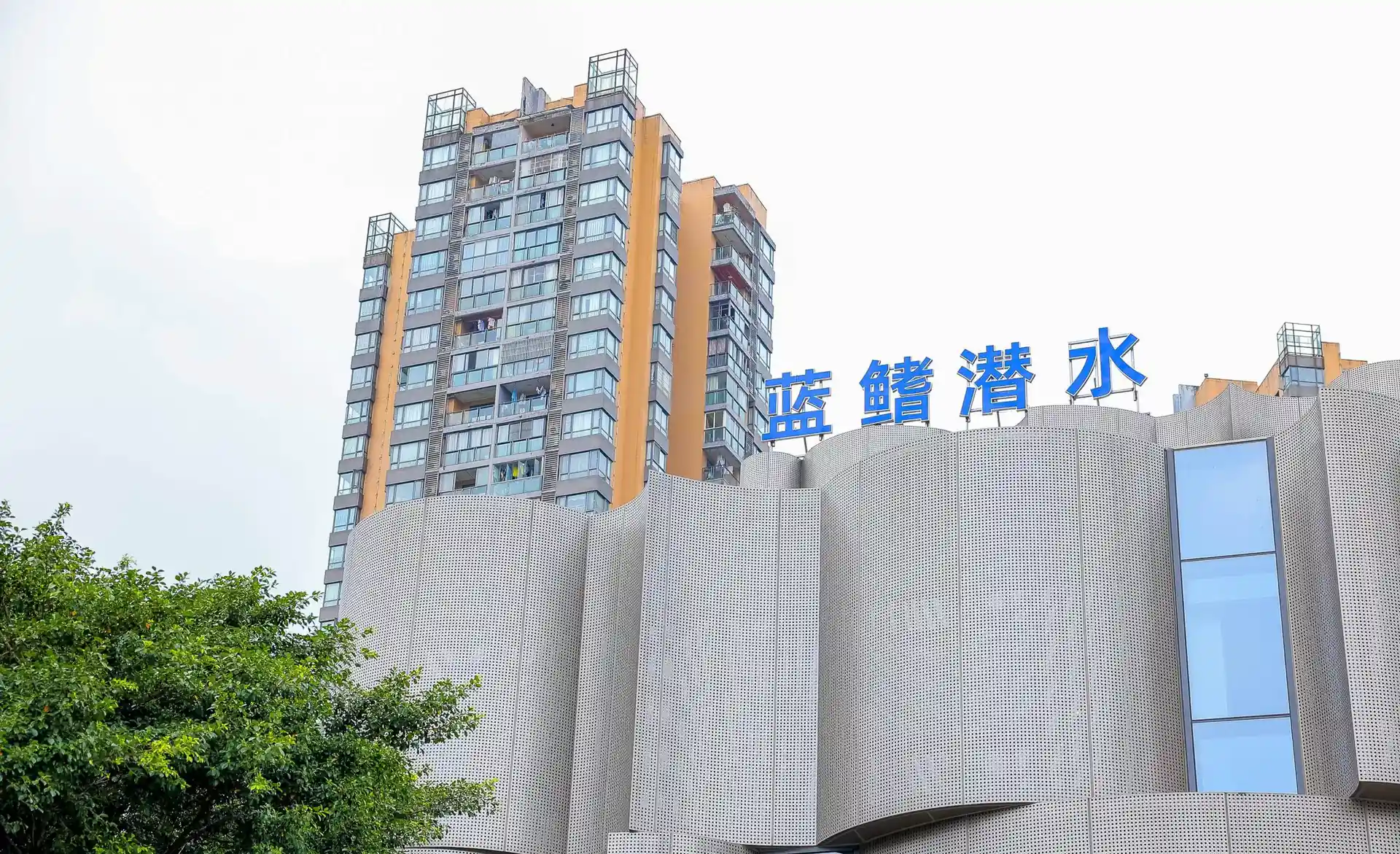 潜店照片