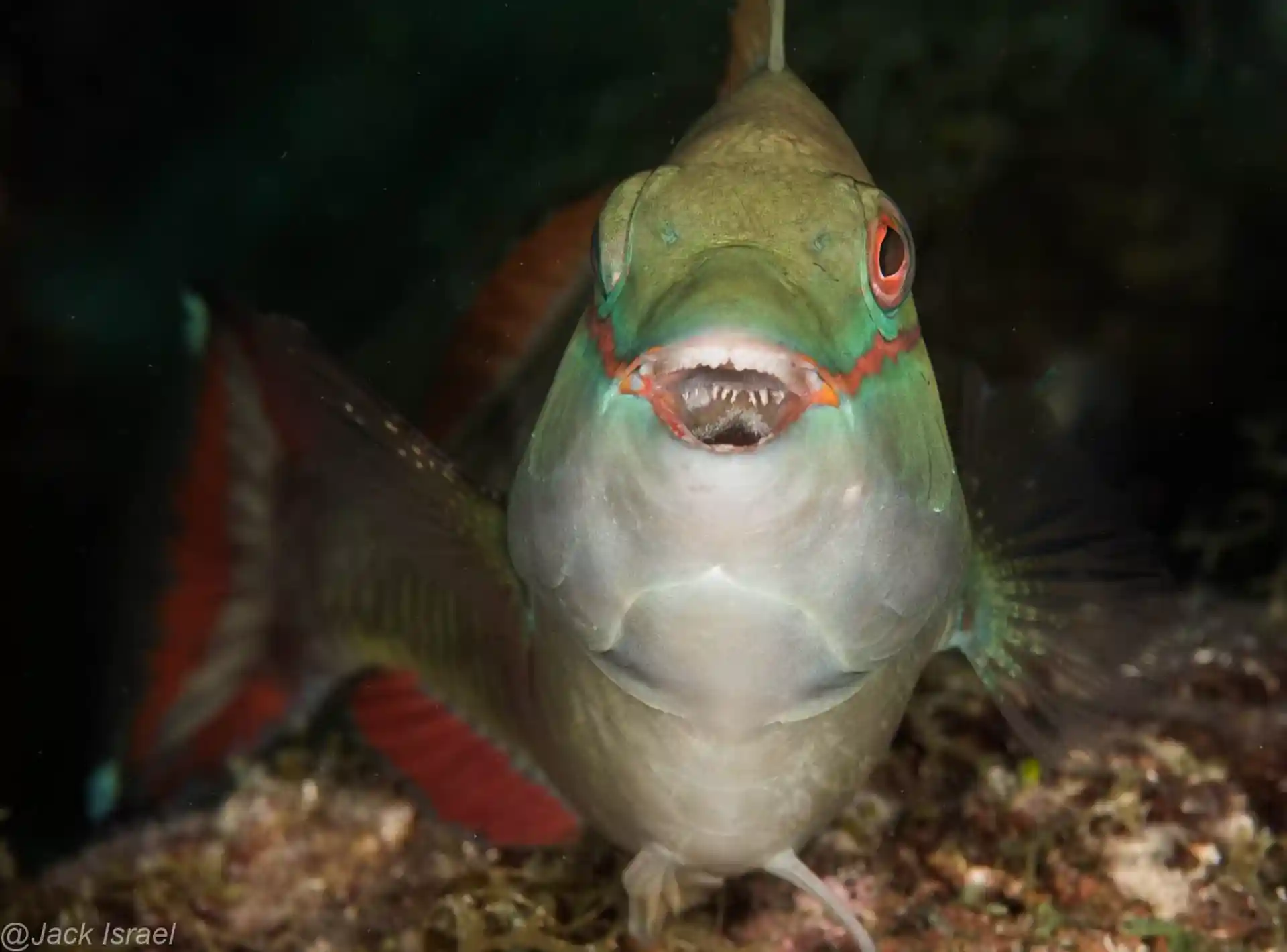 Foto des Tauchplatzes