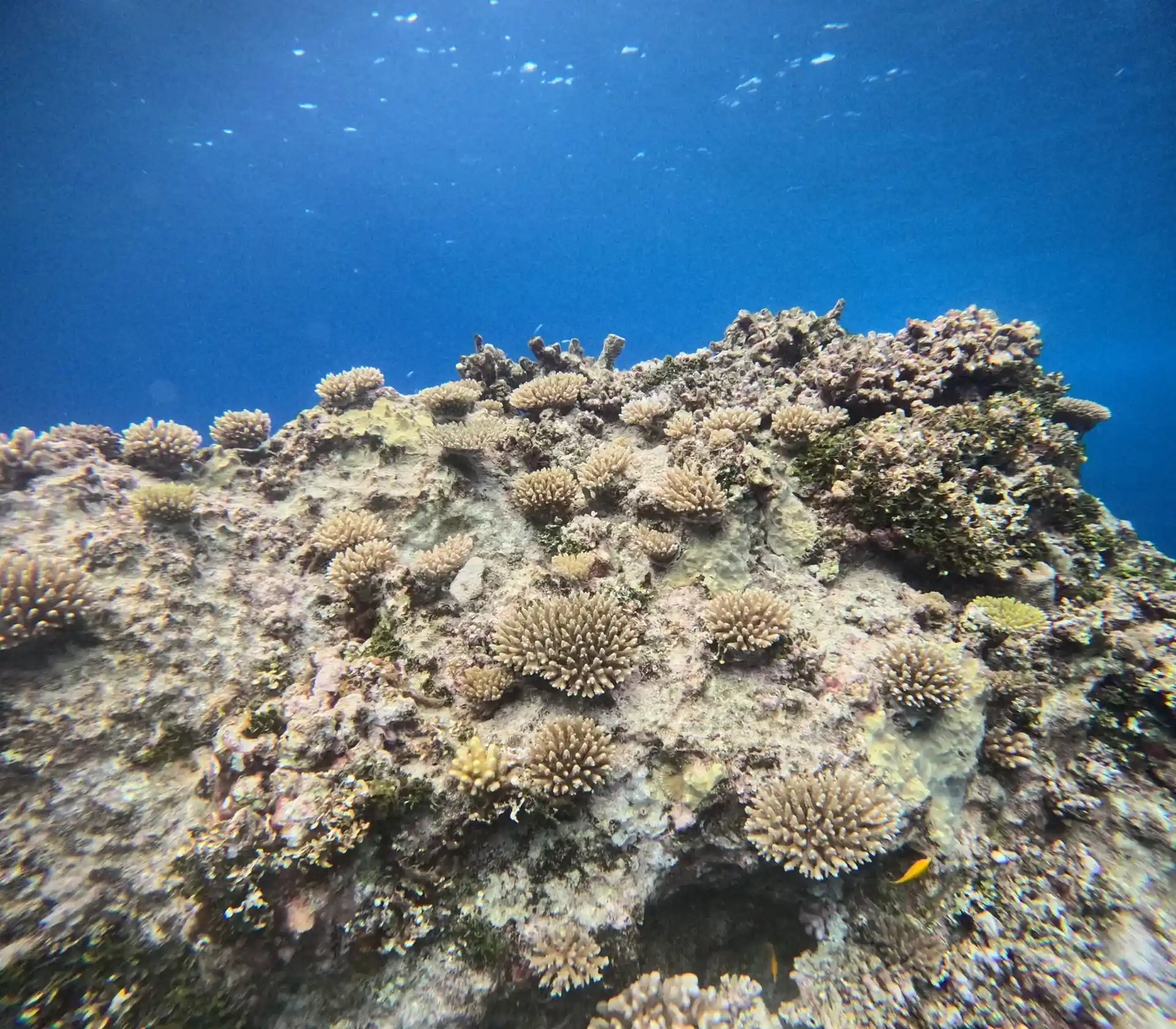 Dive site photo