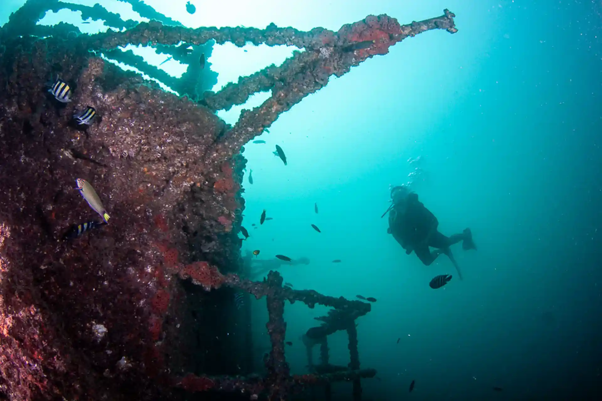 Dive site photo