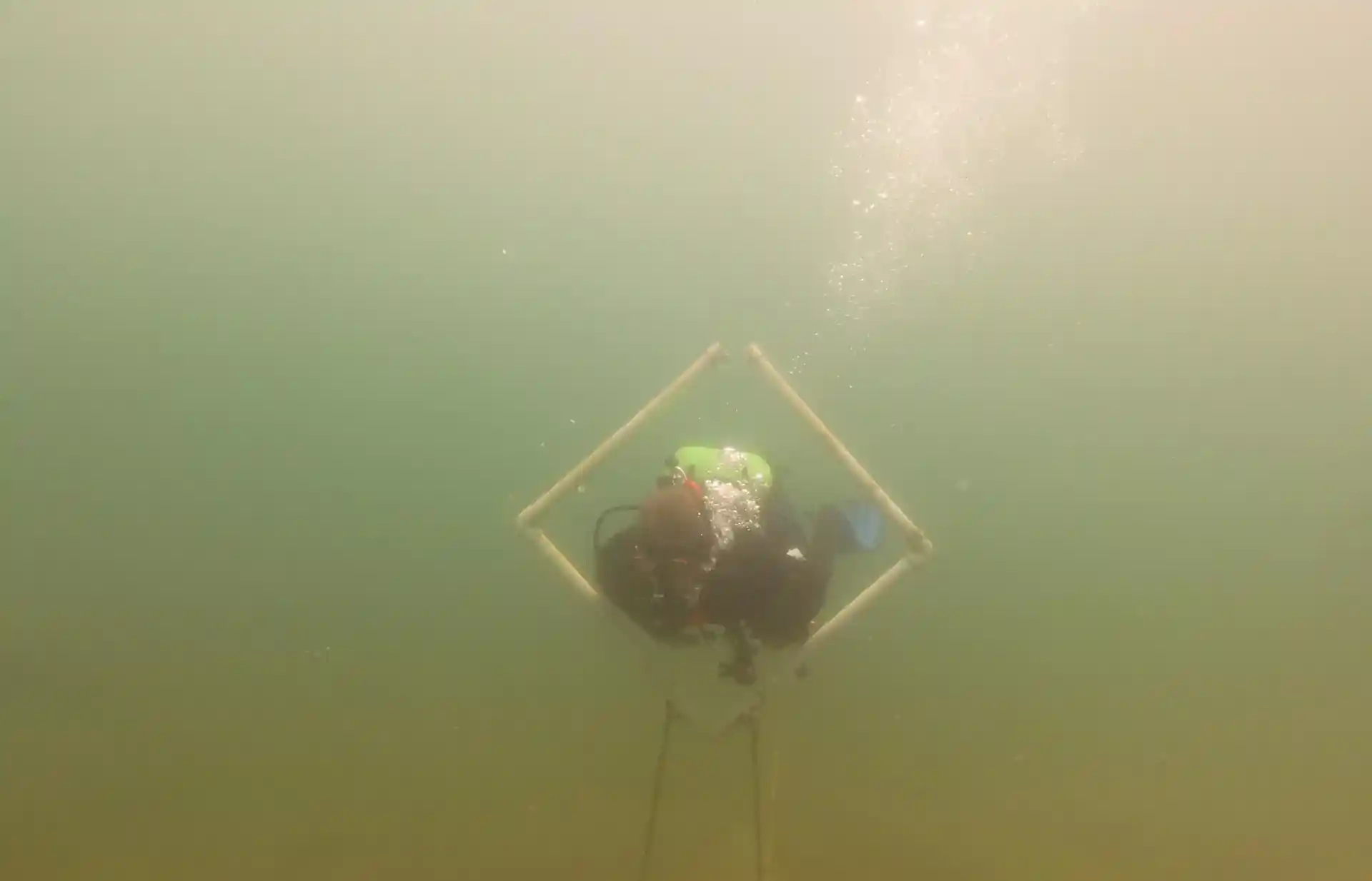 Dive site photo