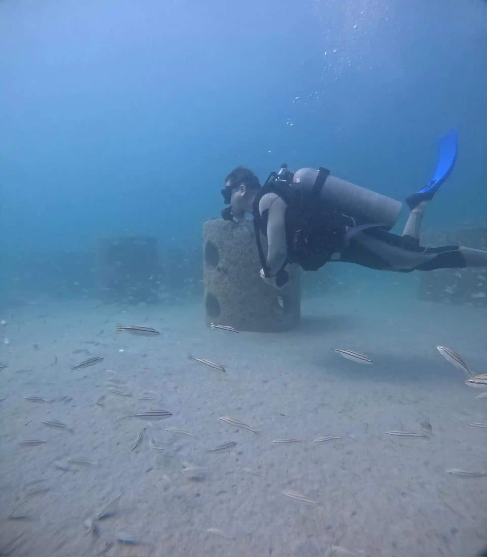 Dive site photo