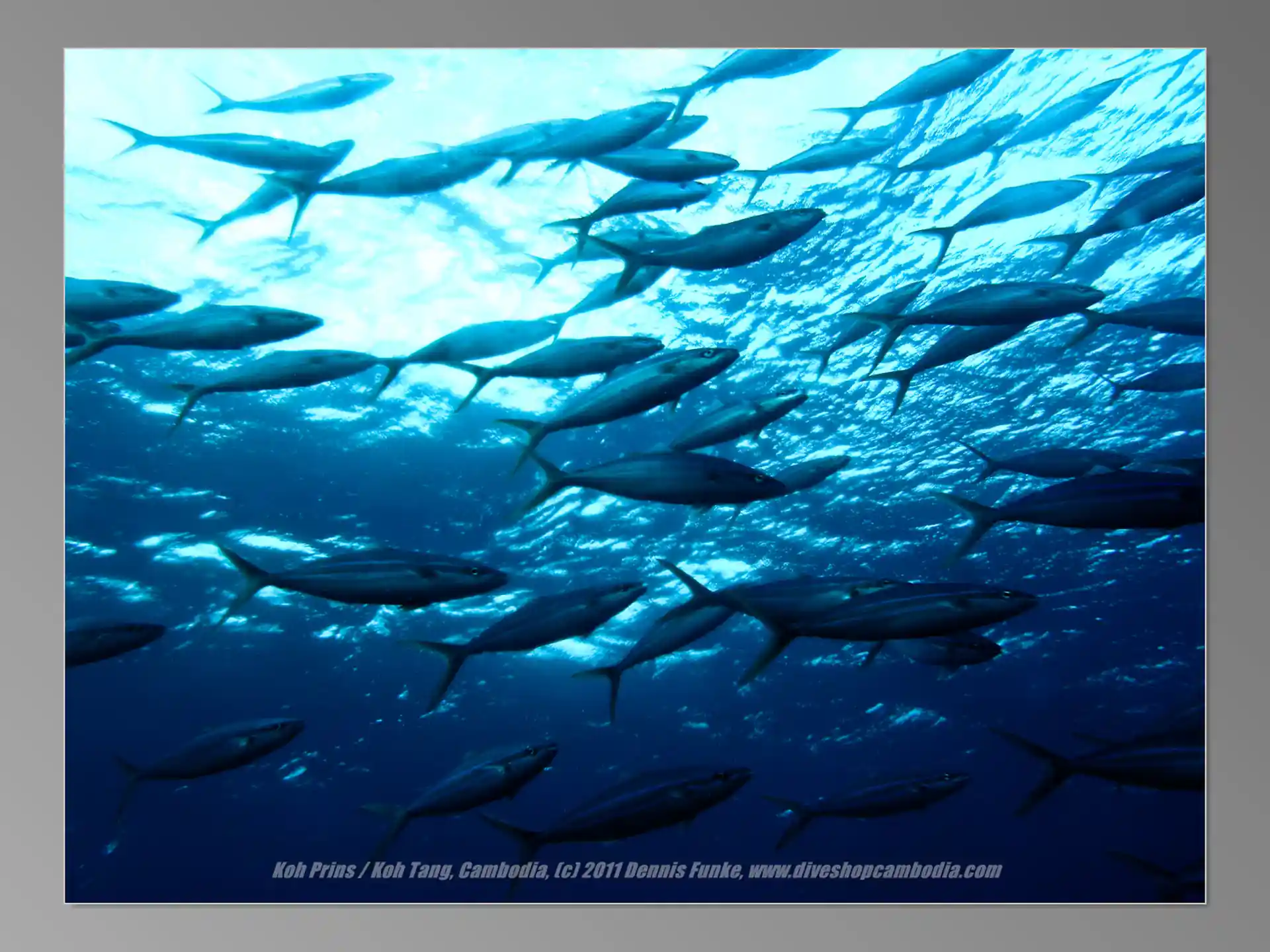 Foto van de duiklocatie