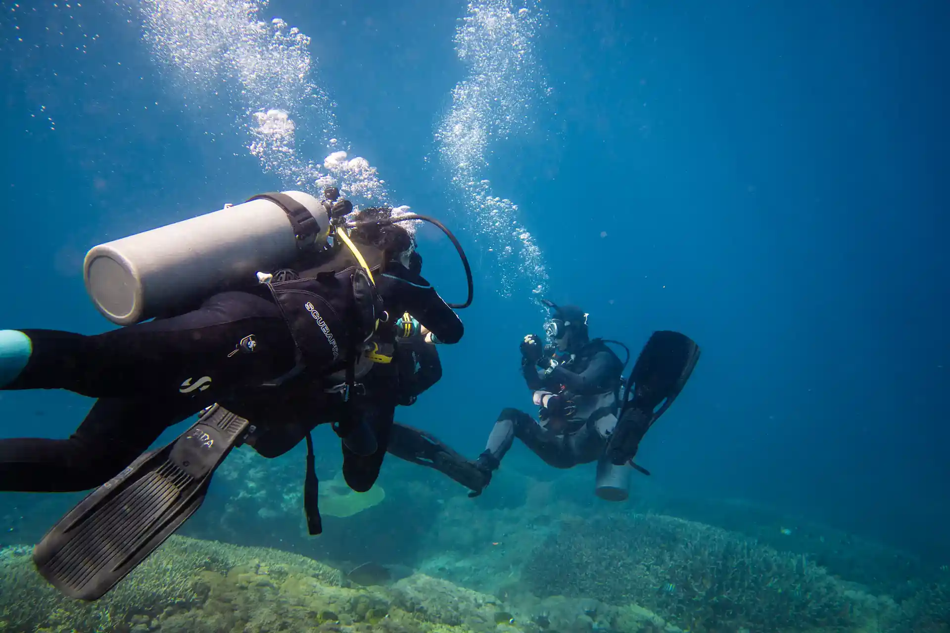 dive training in action