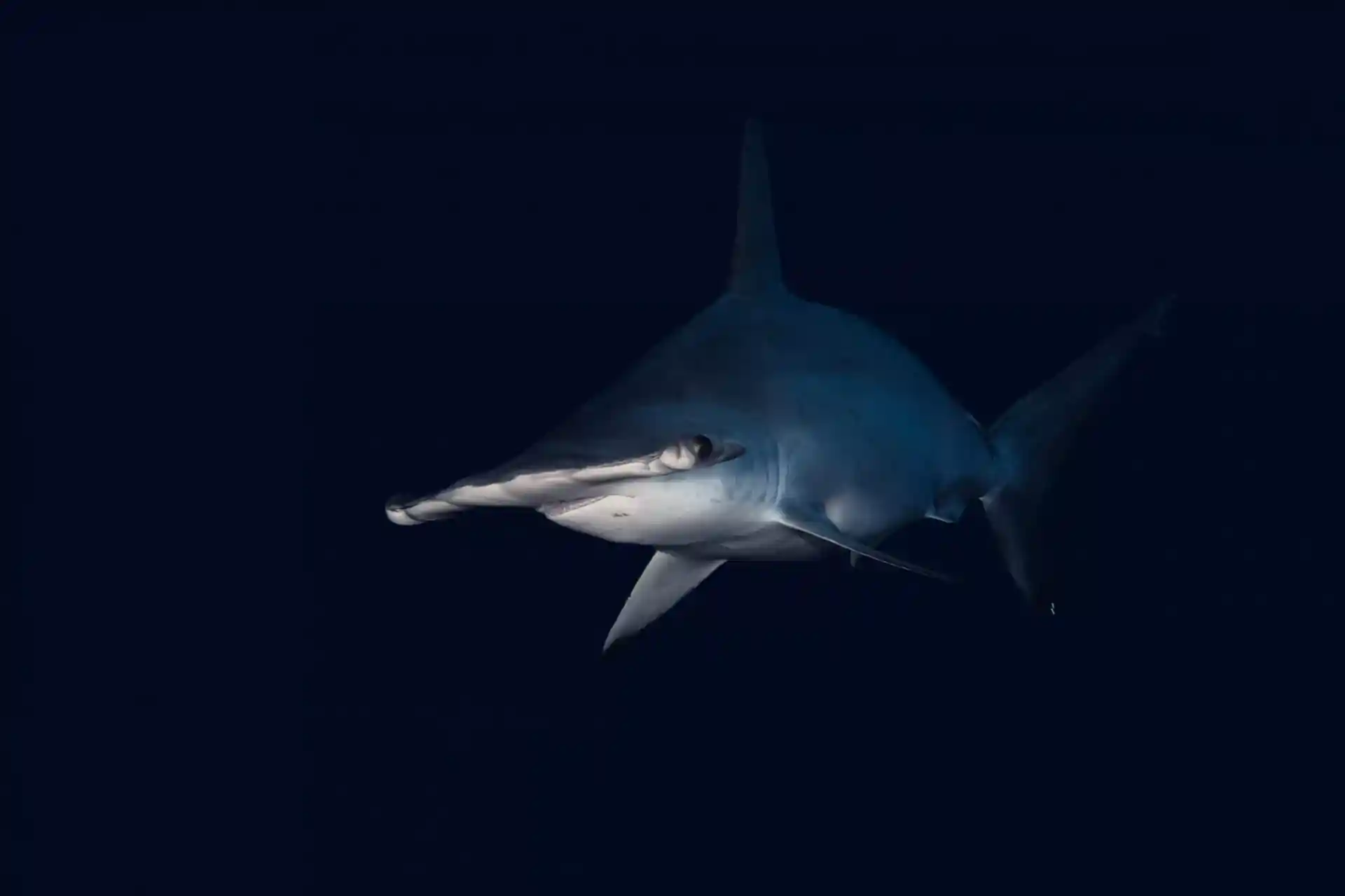 Dive site photo