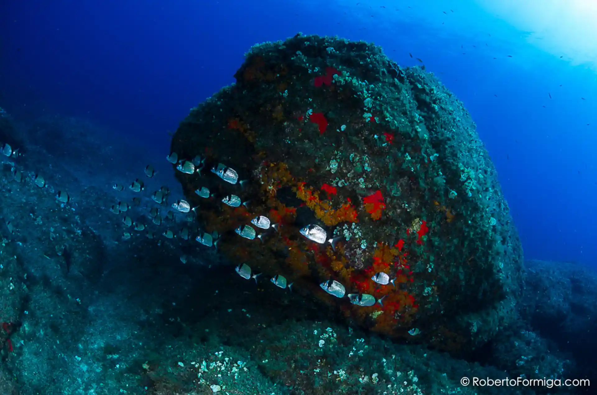 Dive site photo