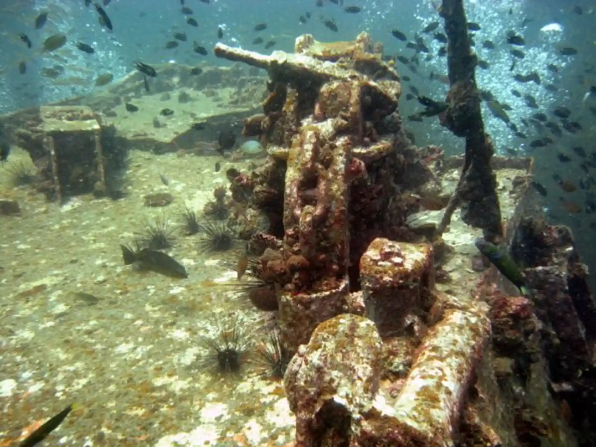 Dive site photo
