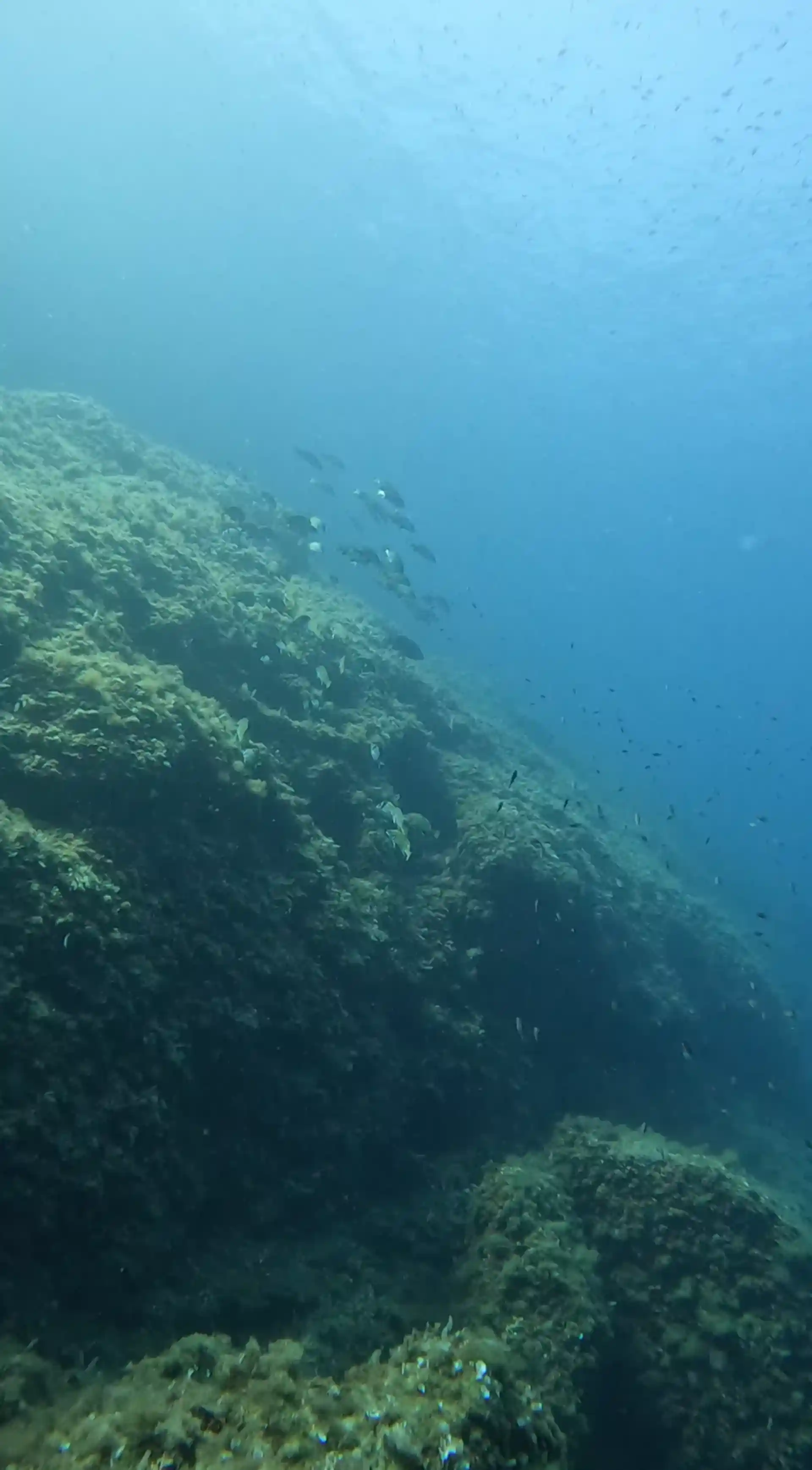 Dive site photo