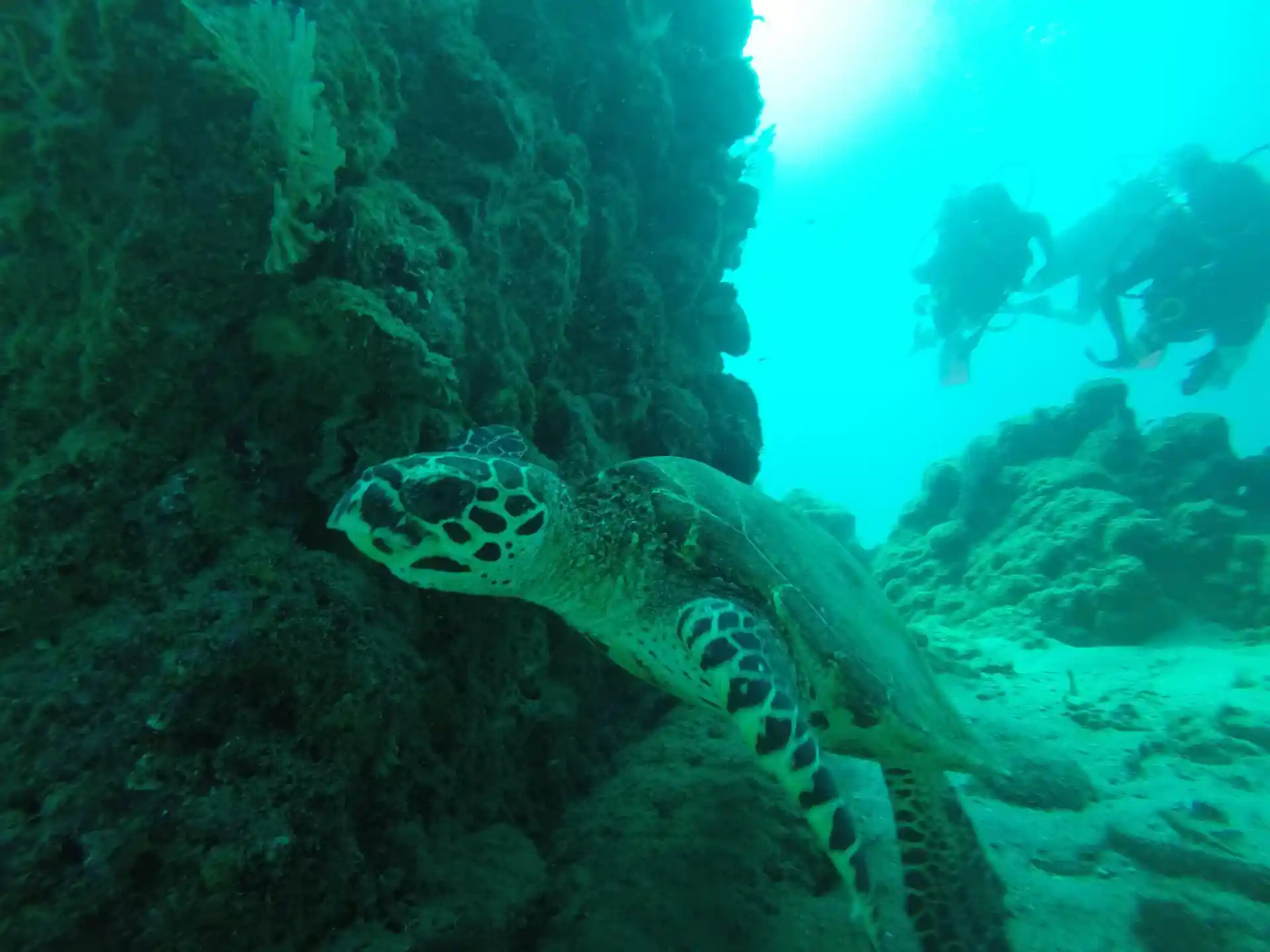 Foto del sitio de buceo