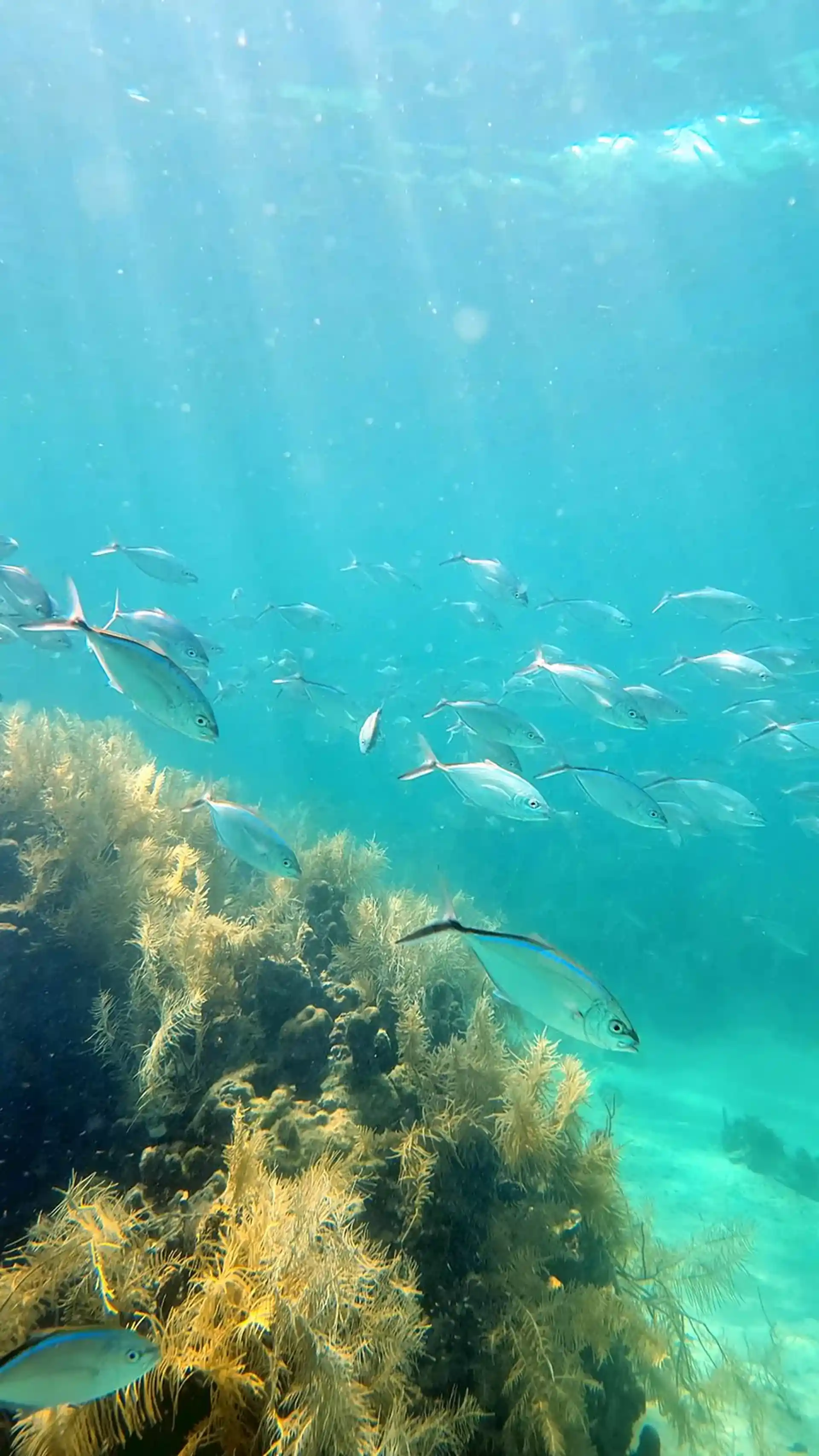 Dive site photo