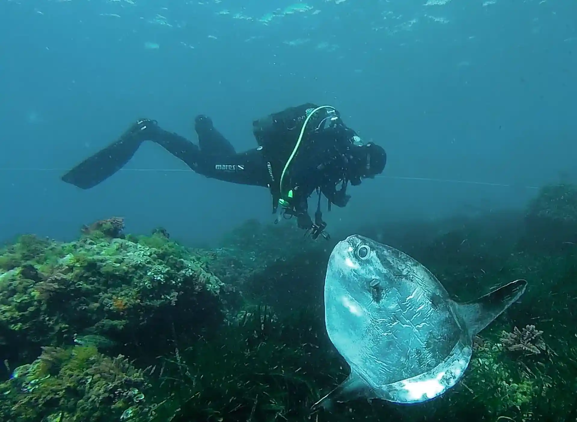 다이빙 포인트 사진