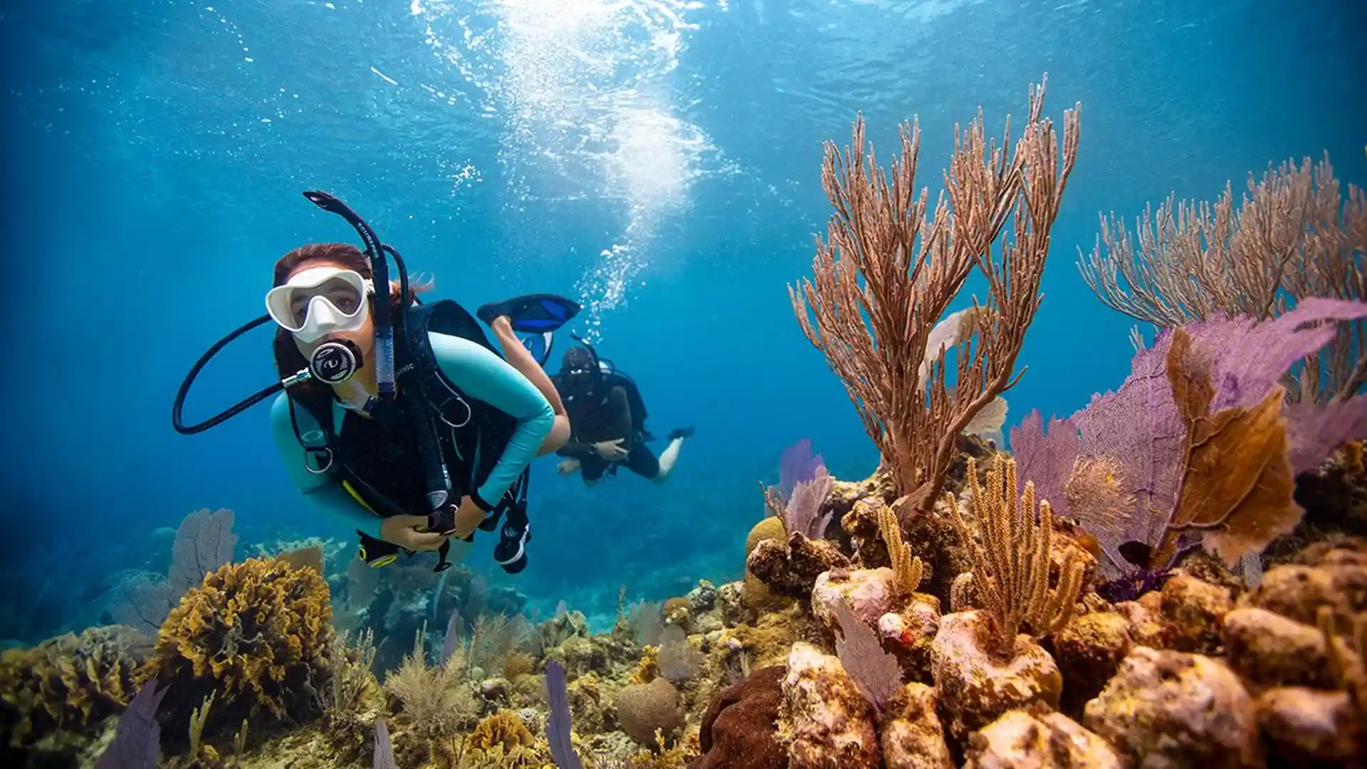 Open Water Diver course with Oceanic Quest