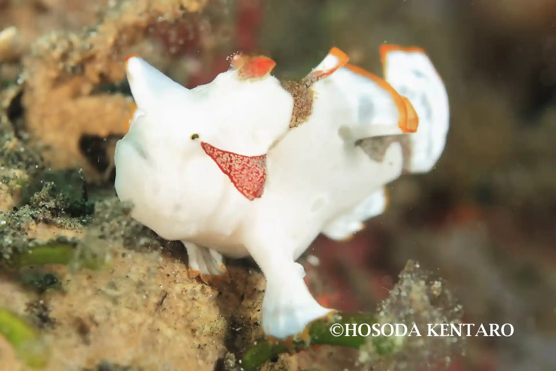 Photo du site de plongée