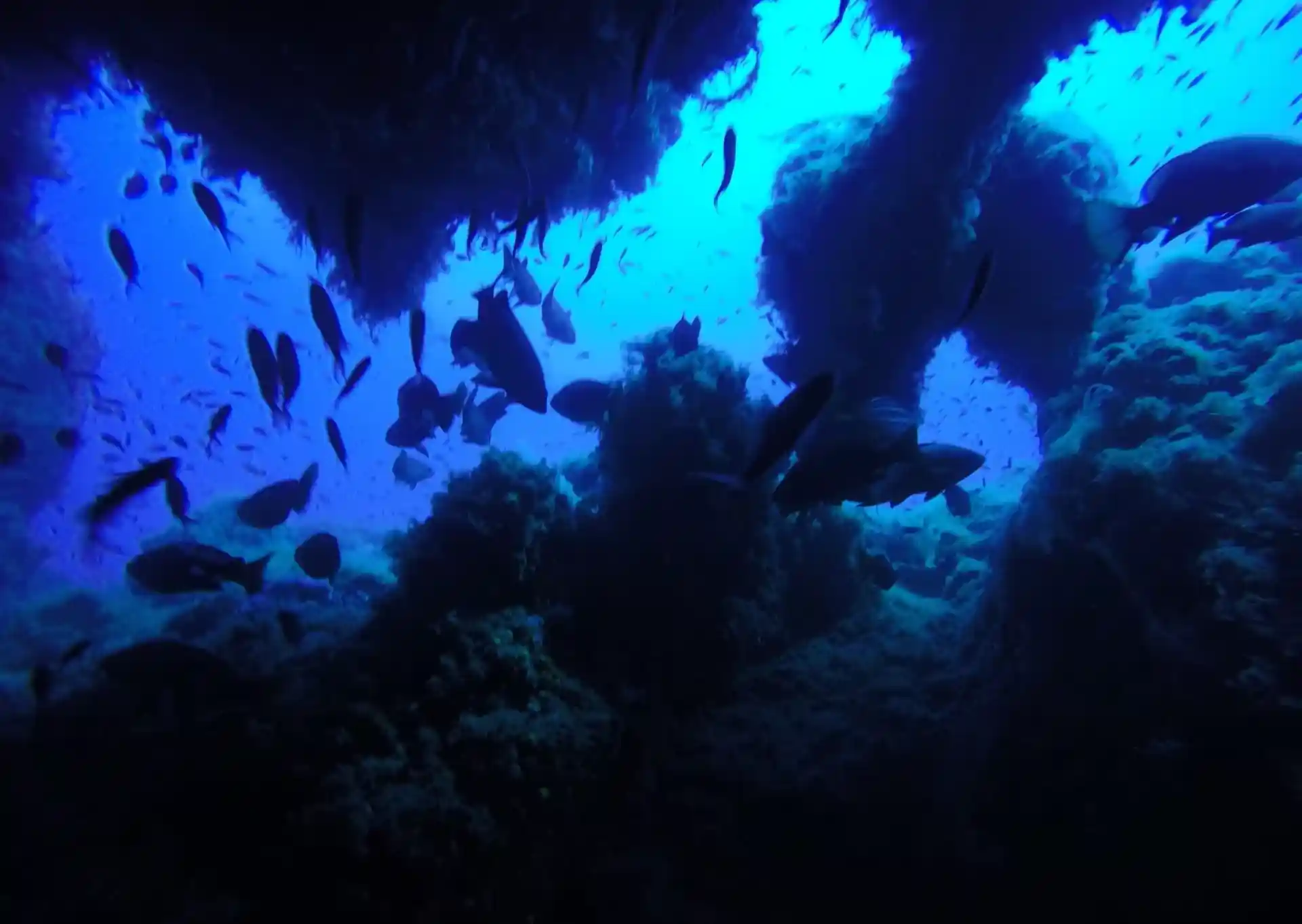 Foto des Tauchplatzes