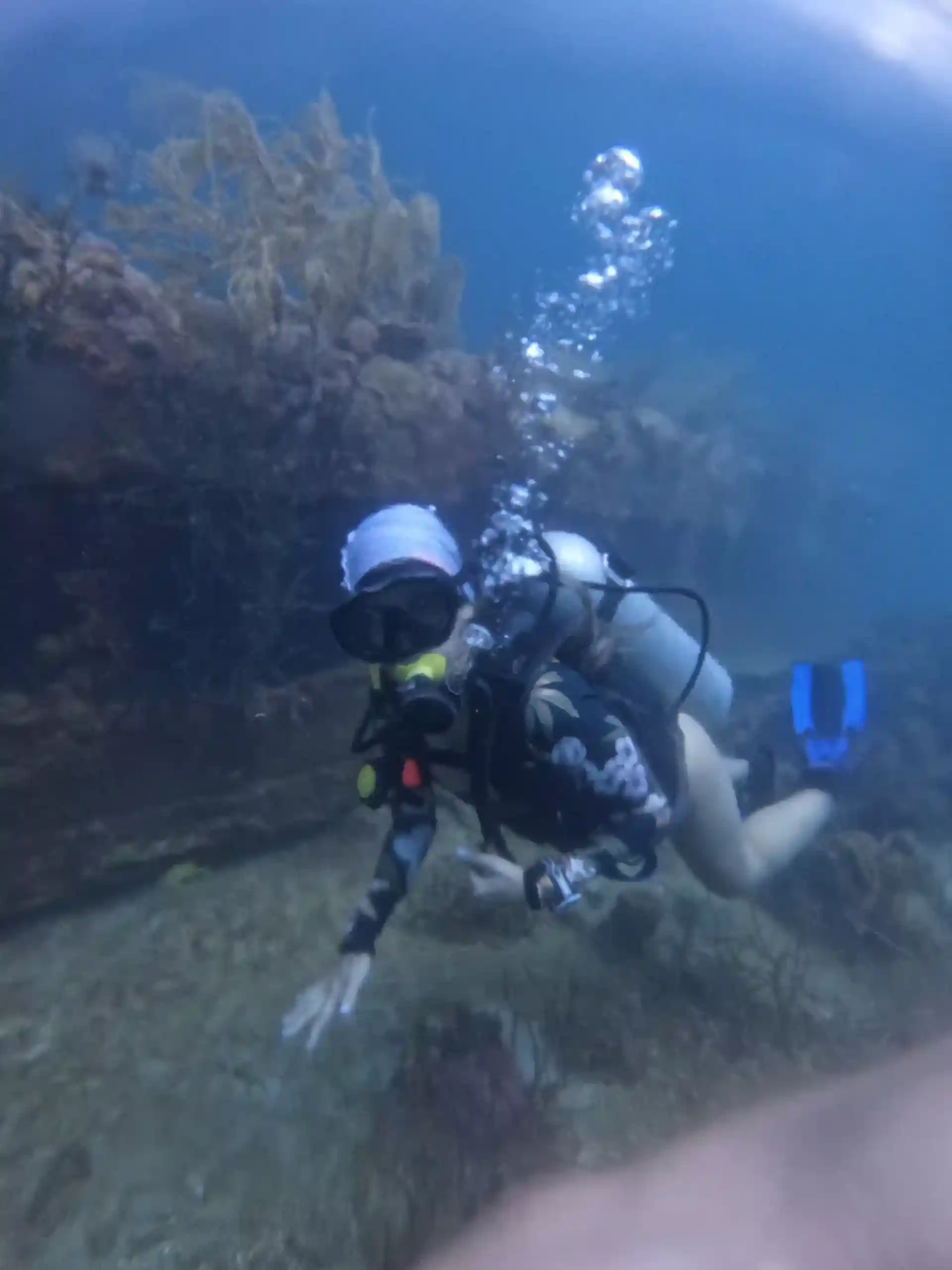 다이빙 포인트 사진