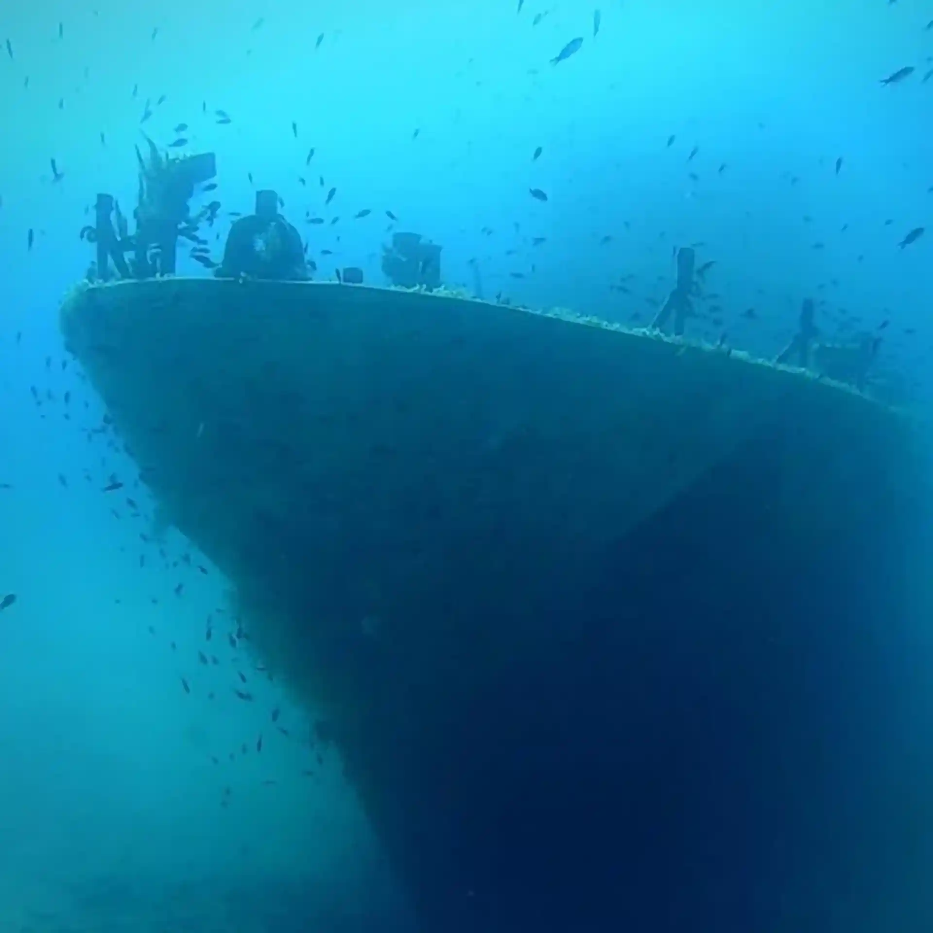 Dive site photo
