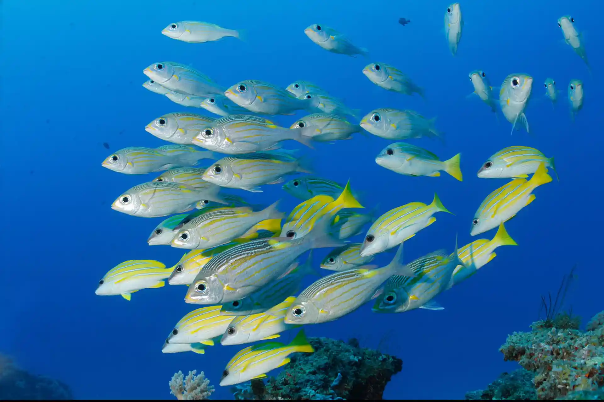Dive shop photo