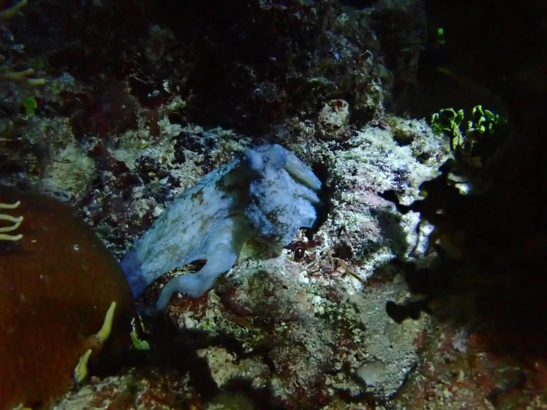 Dive shop photo