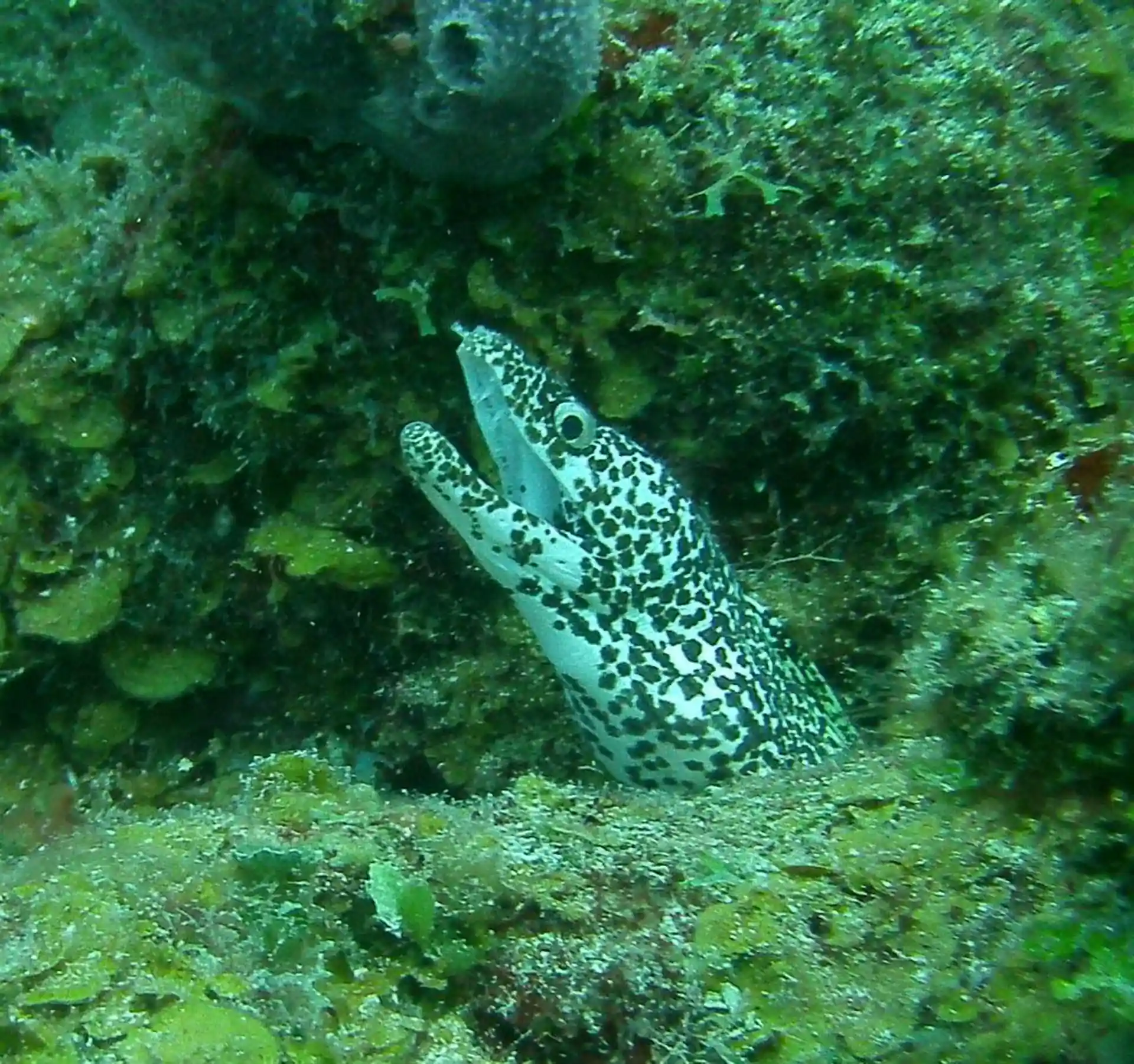 Dive shop photo