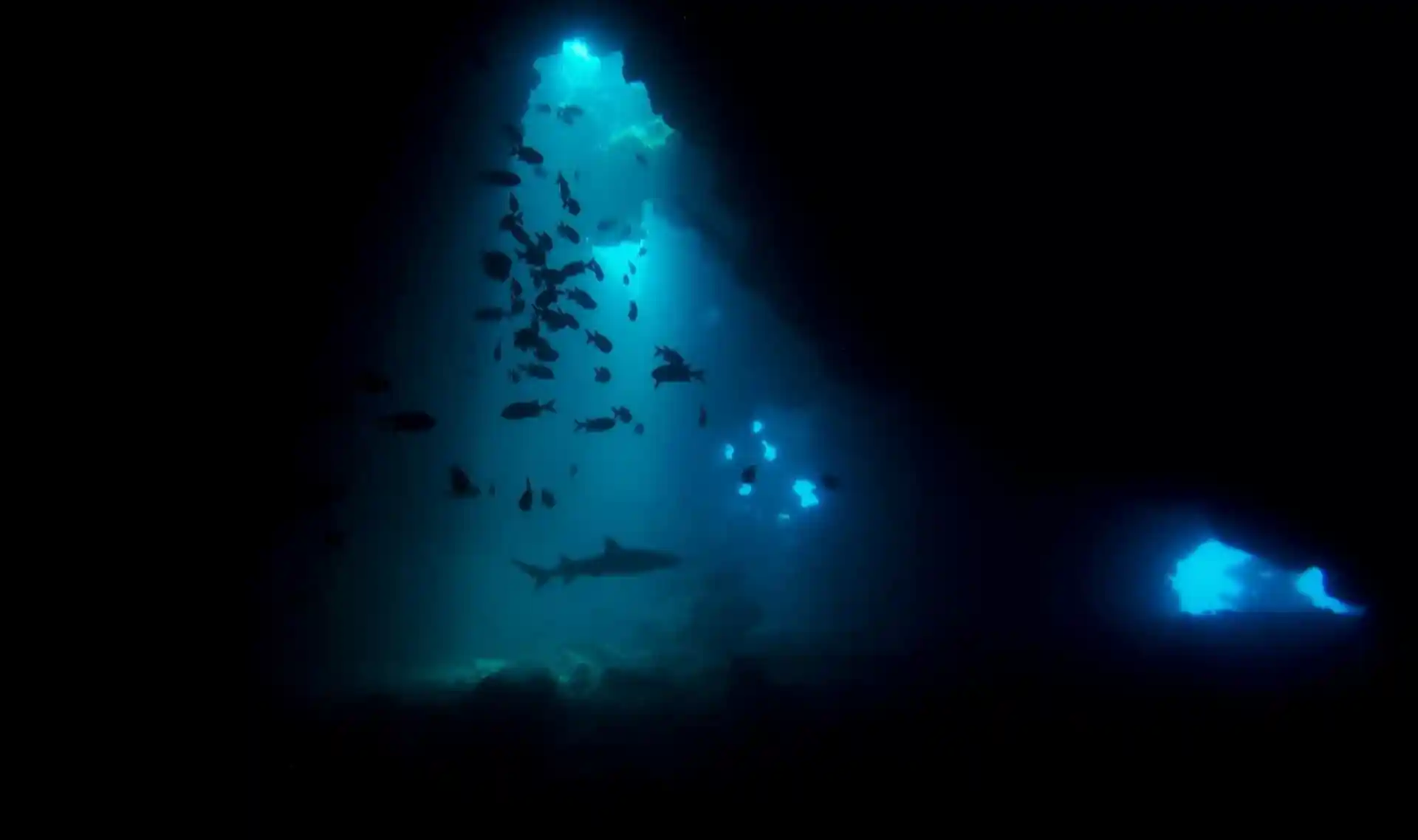 Dive site photo